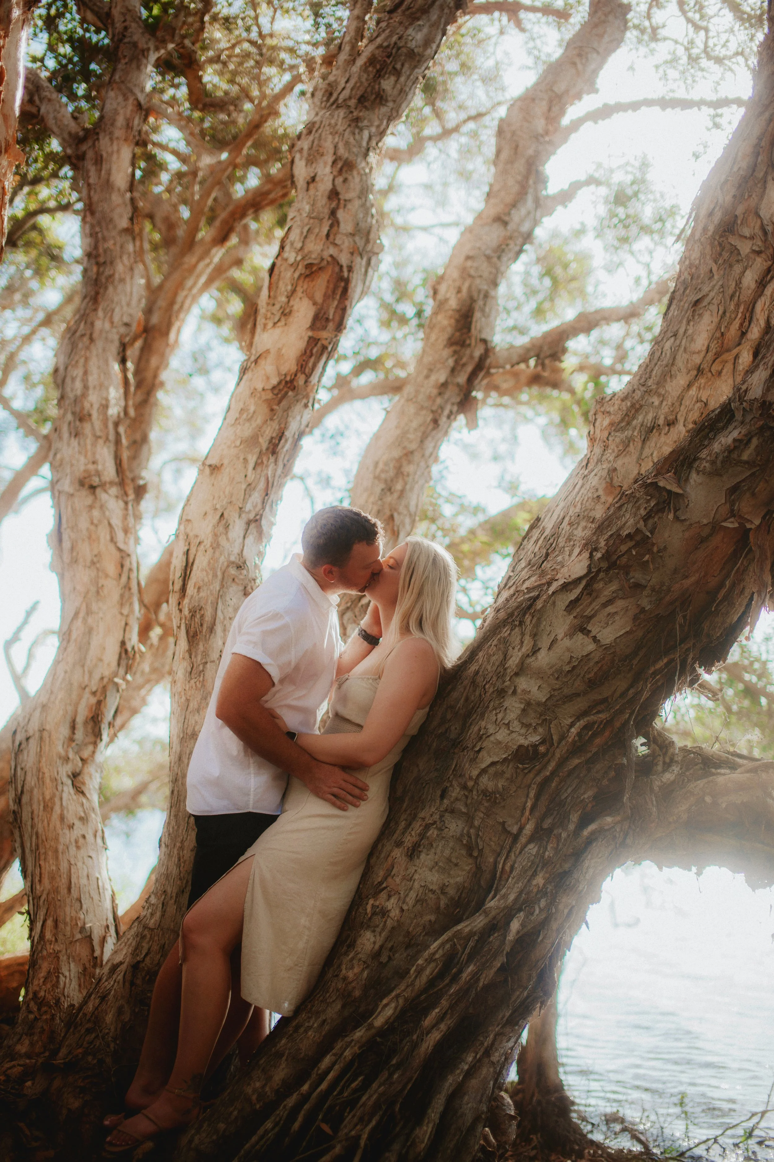 A man and woman sharing a kiss between large tree branches near a body of water on a sunny day.