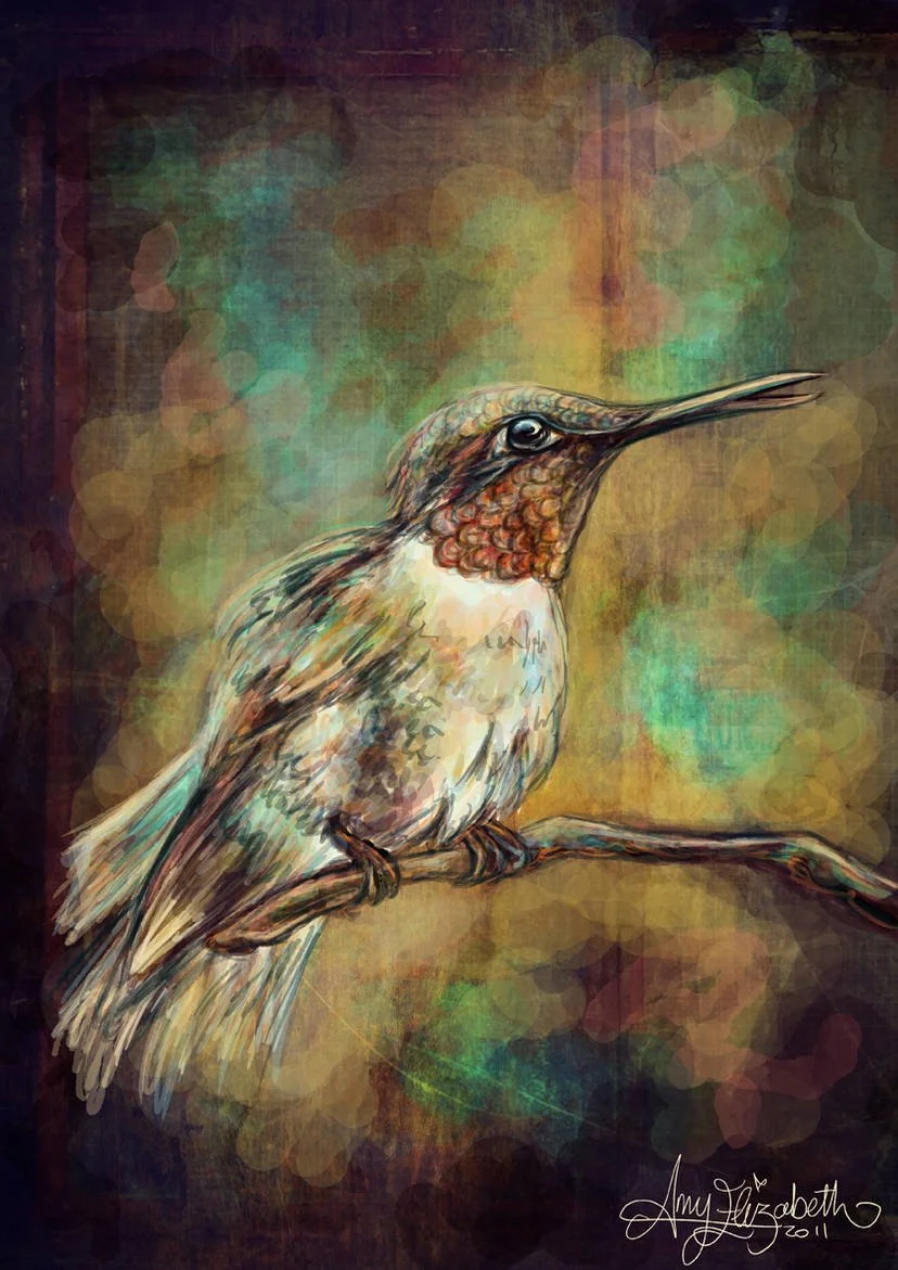 Digital painting of a hummingbird perched on a branch with a colorful, abstract background.