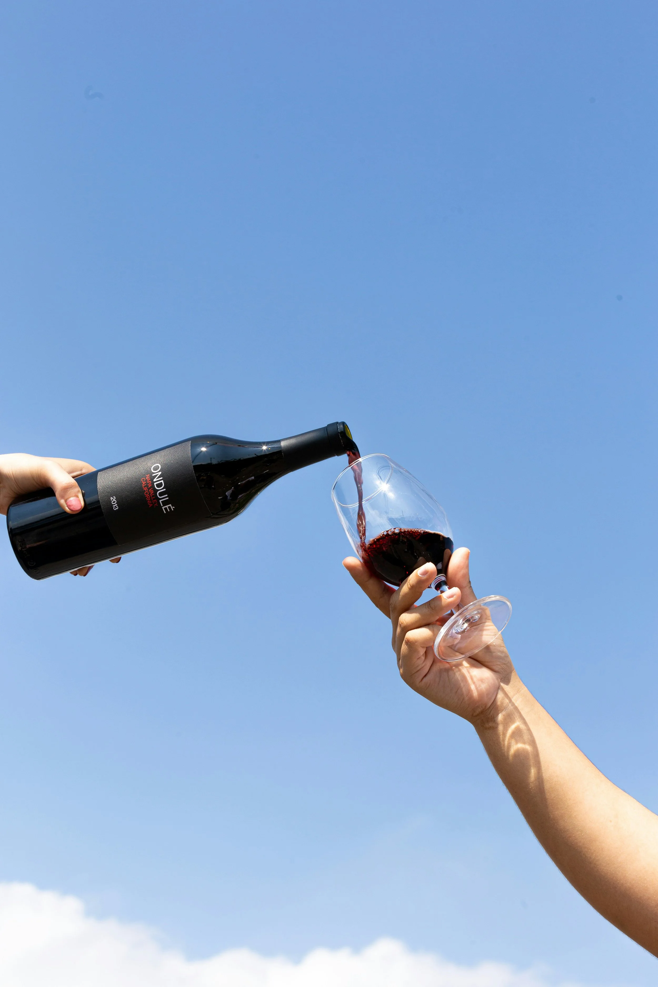 Living With Wine: How to Choose Wine for Real Life