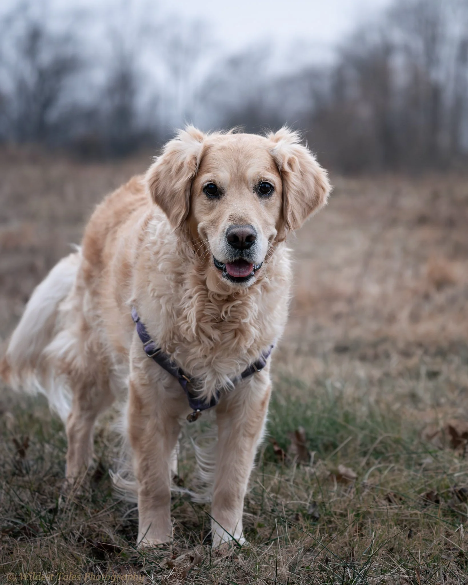 Freya Jan 2026-2.jpg