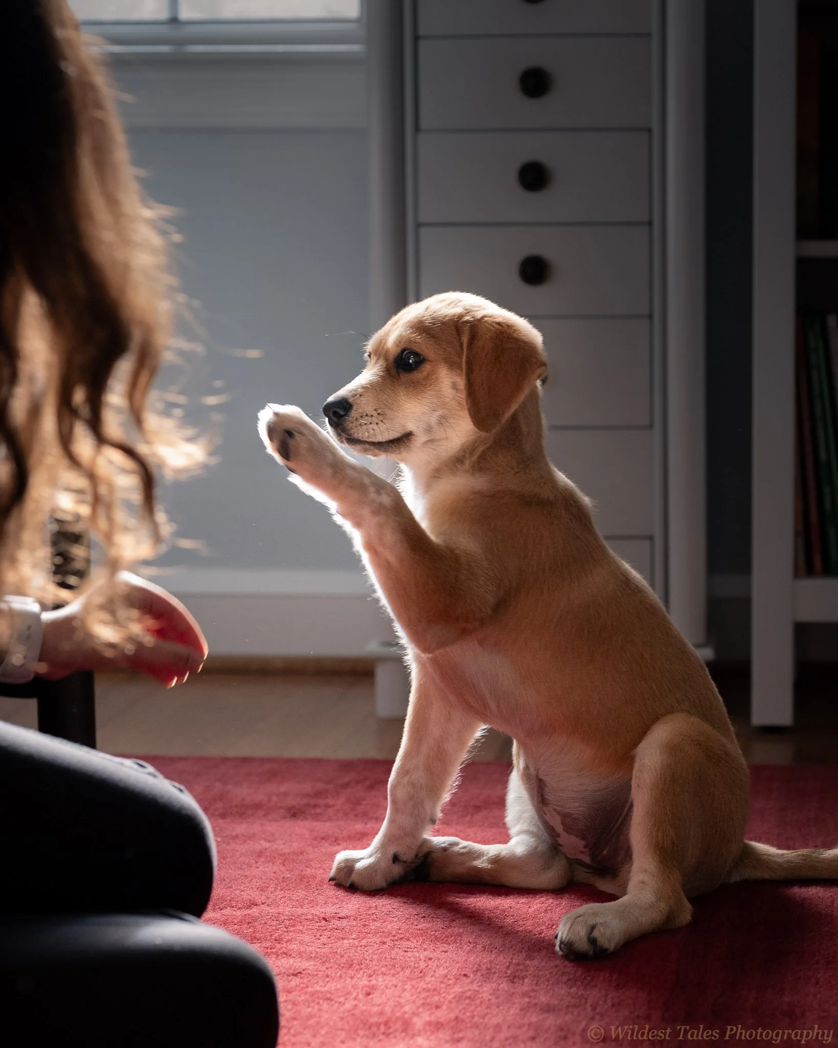 2026.02.21_Sugar (iPhone)-11.jpg