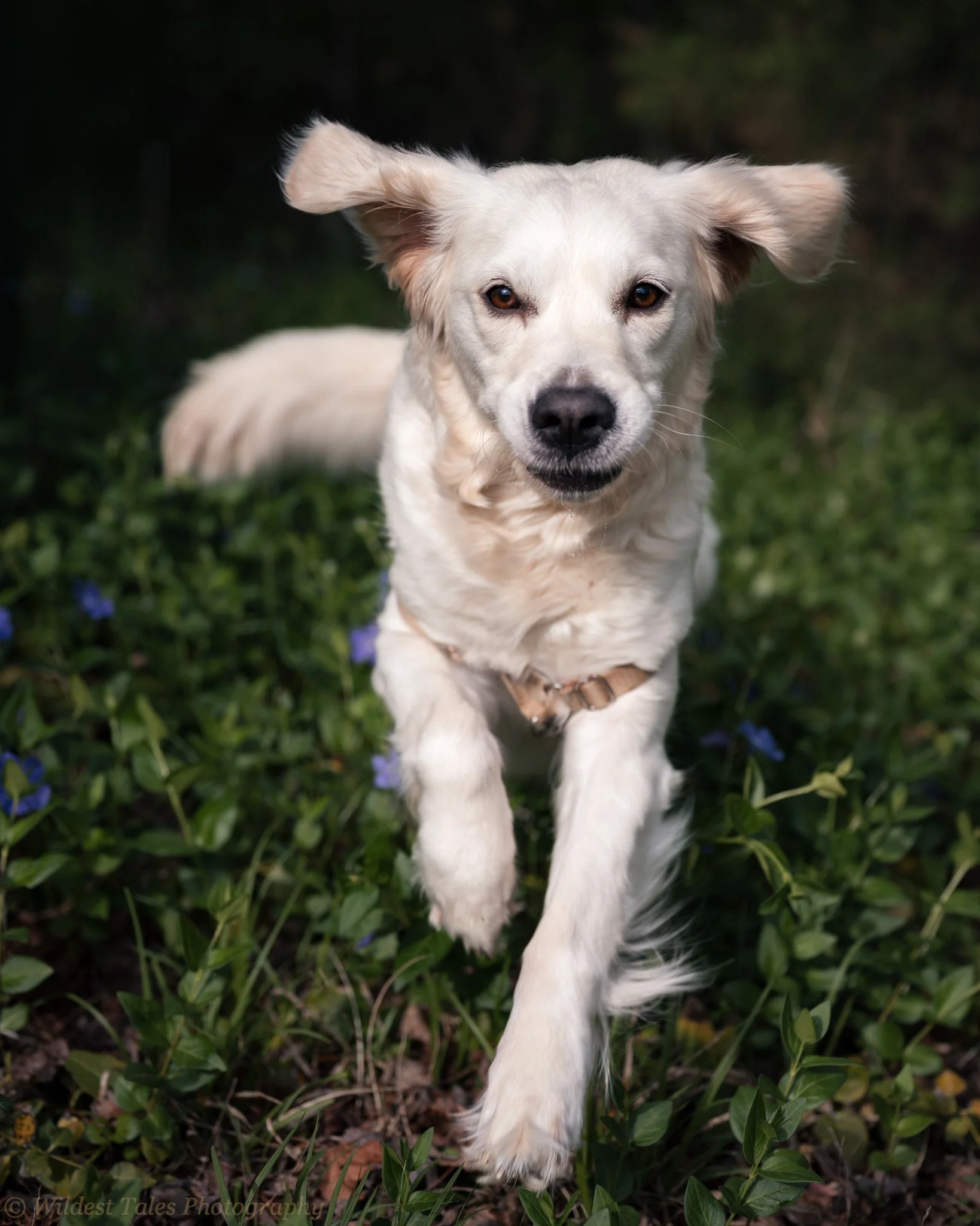 2026.04.13_Kiki (Best) 2-1.jpeg