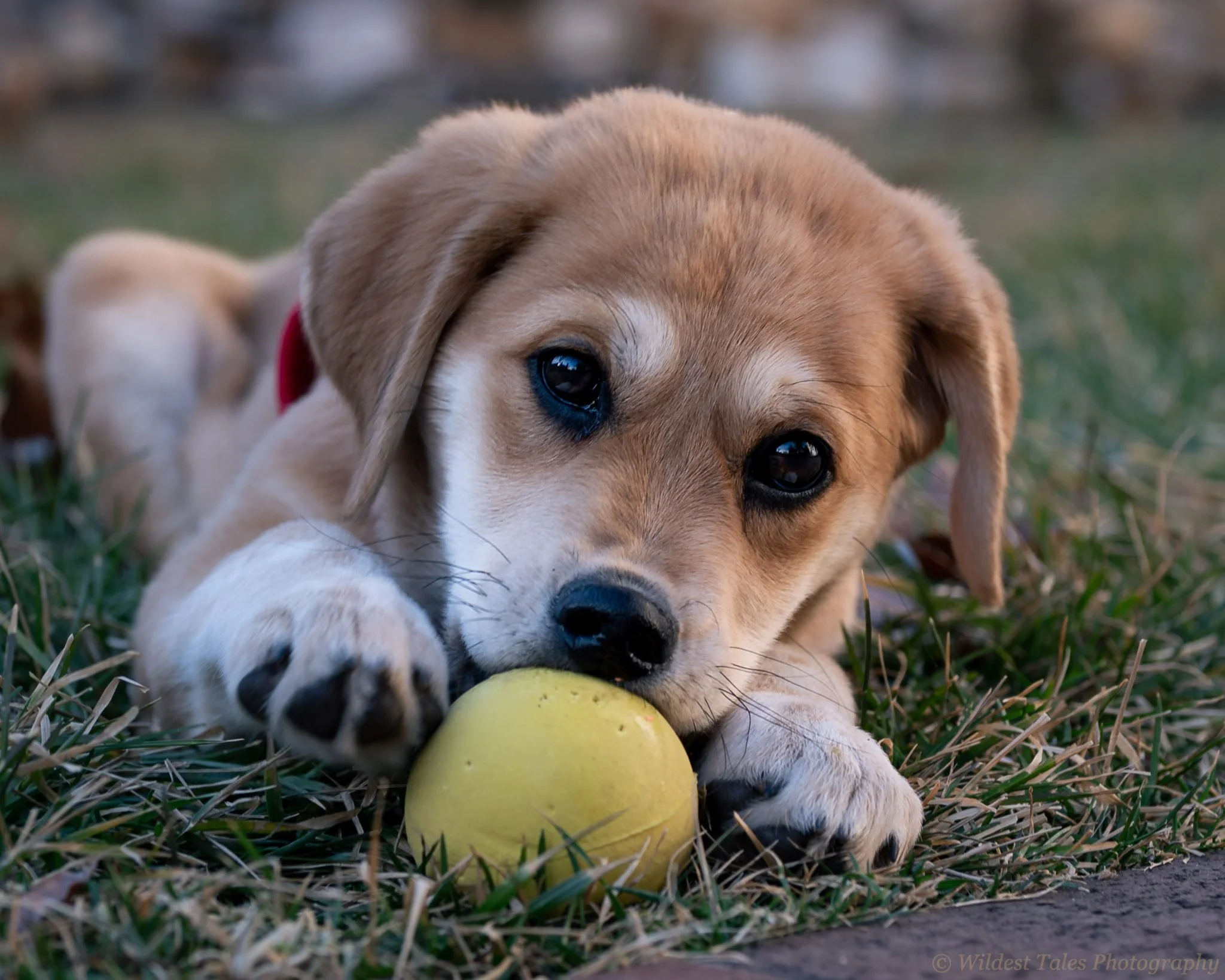 2026.02.21_Sugar (iPhone)-7.jpeg