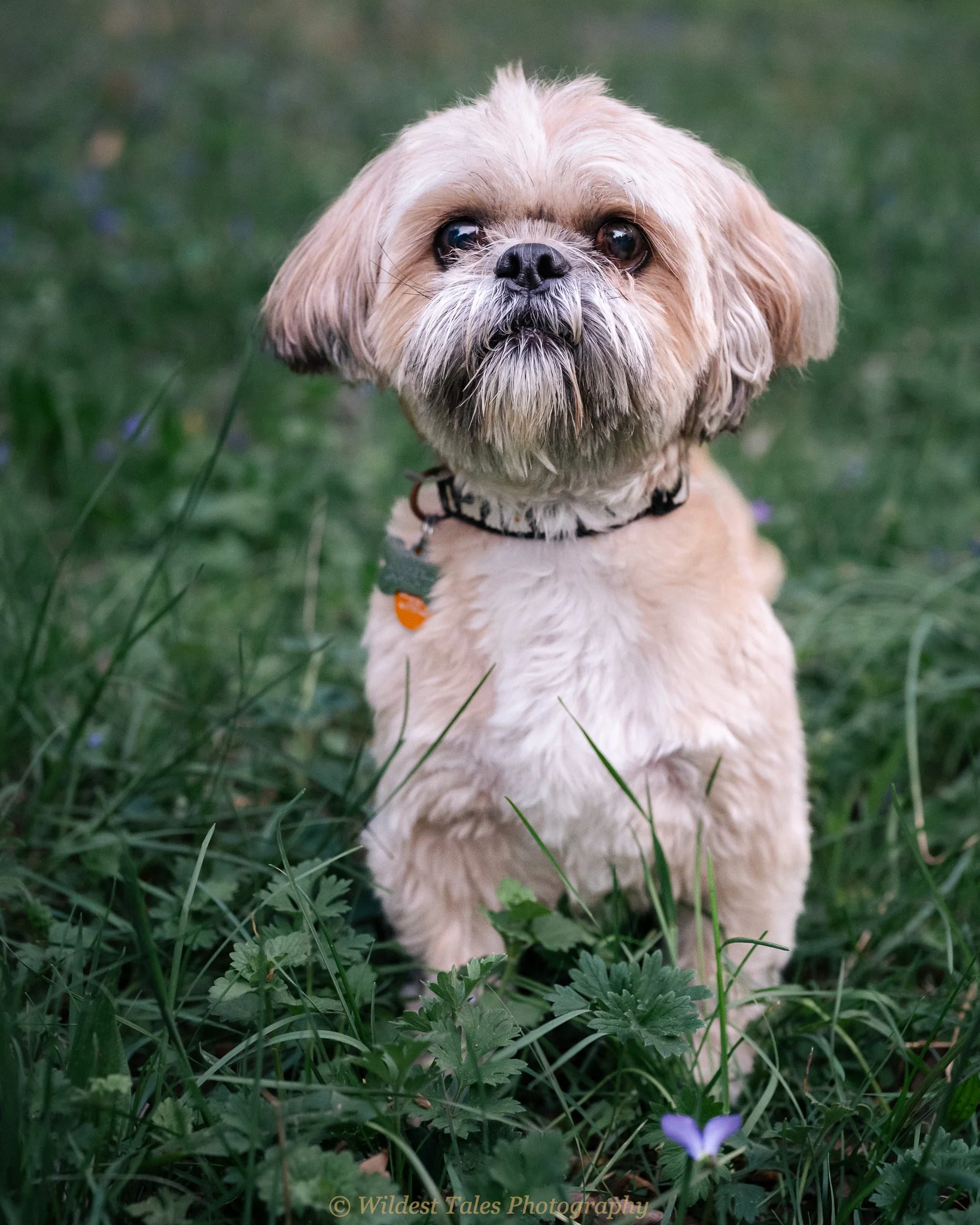 2026.04.18_Coco-1.jpeg