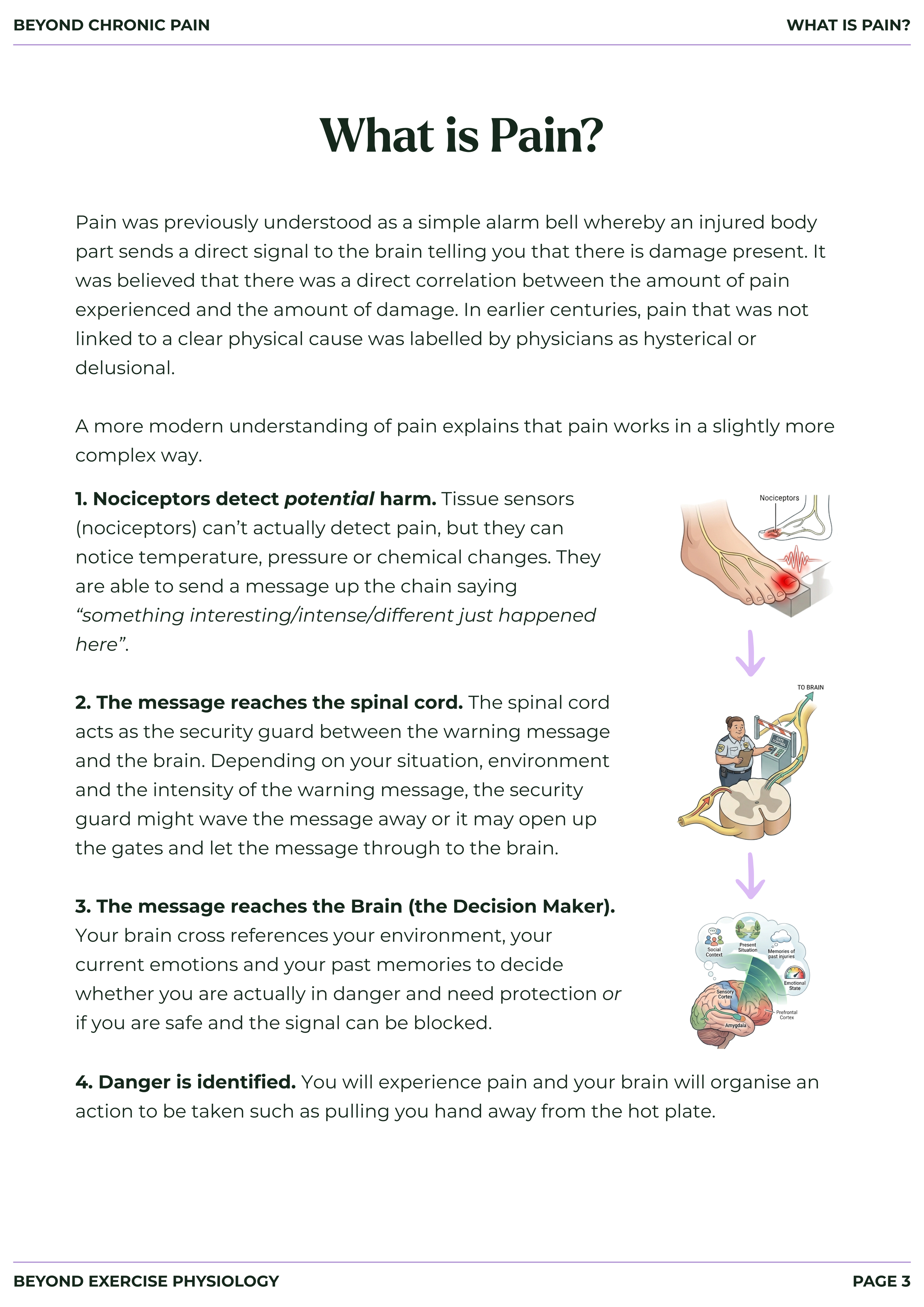 Beyond Chronic Pain (3).png