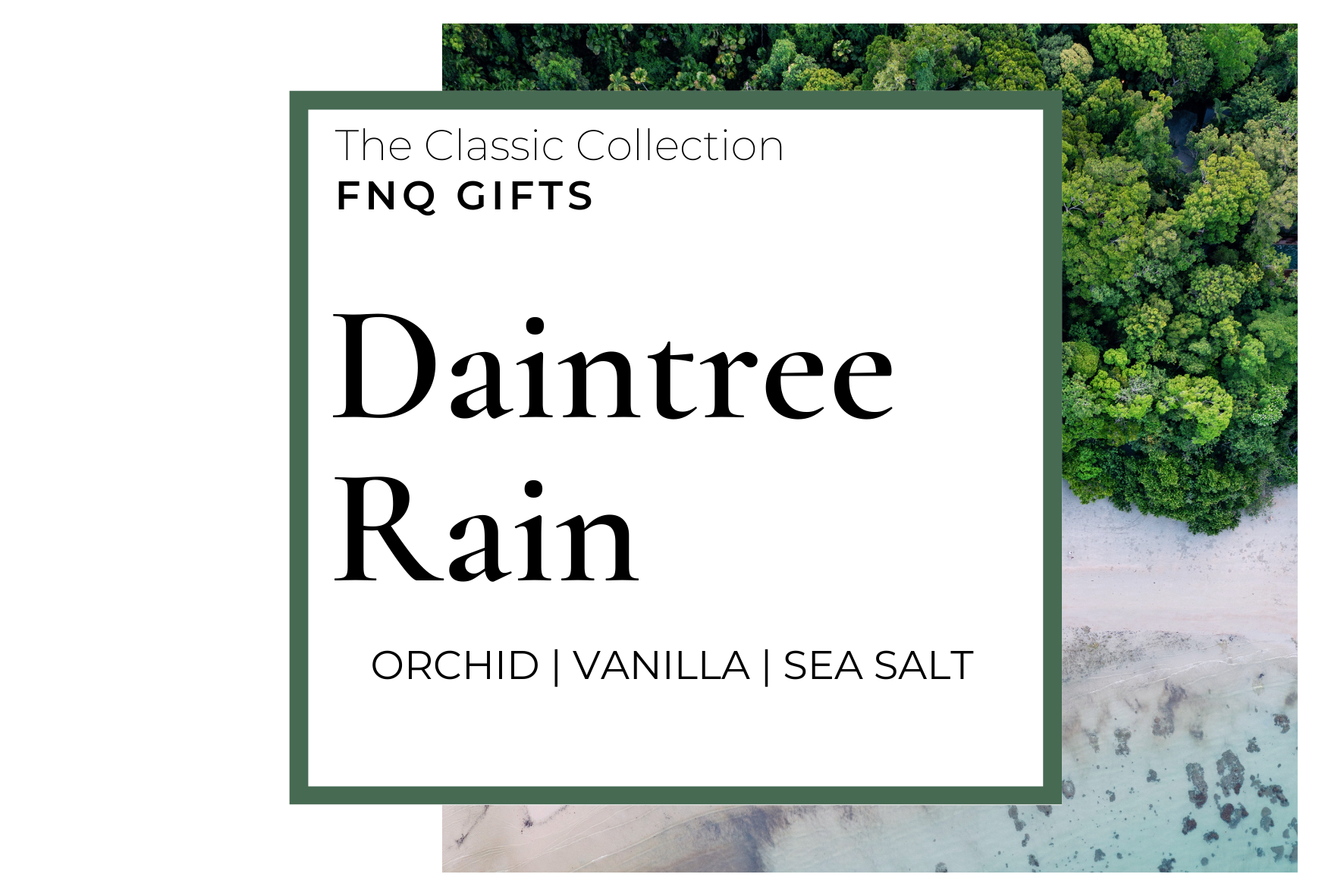 Daintree Rain