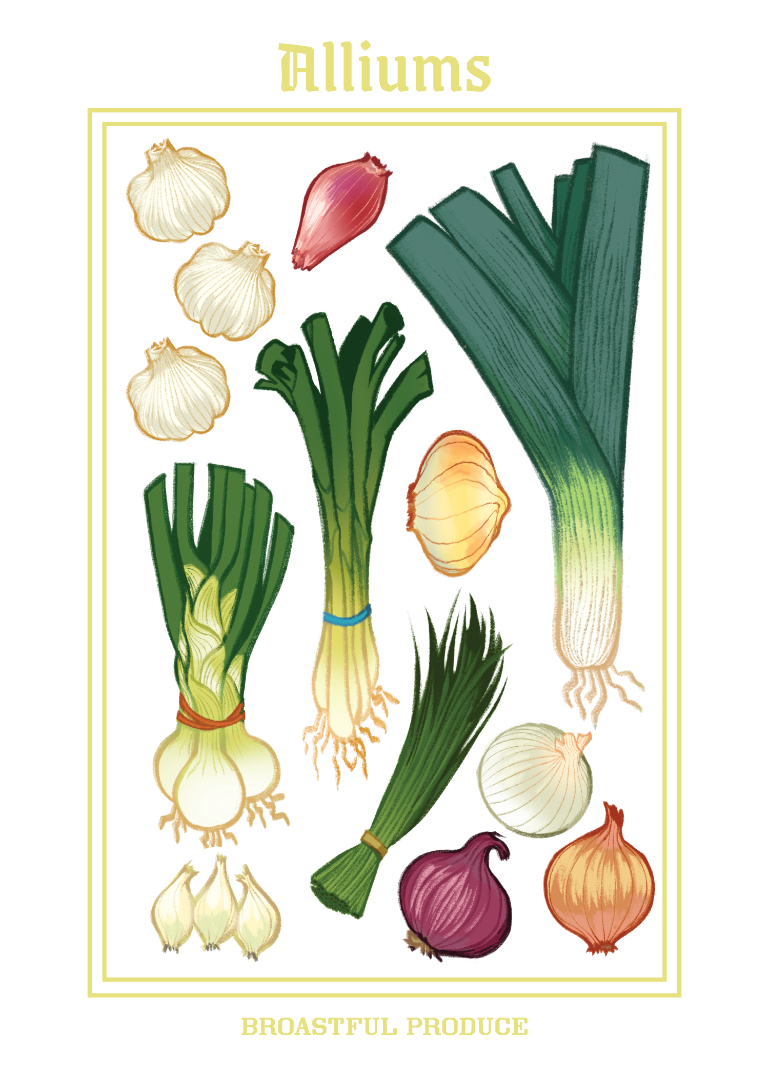 alliums-print.png