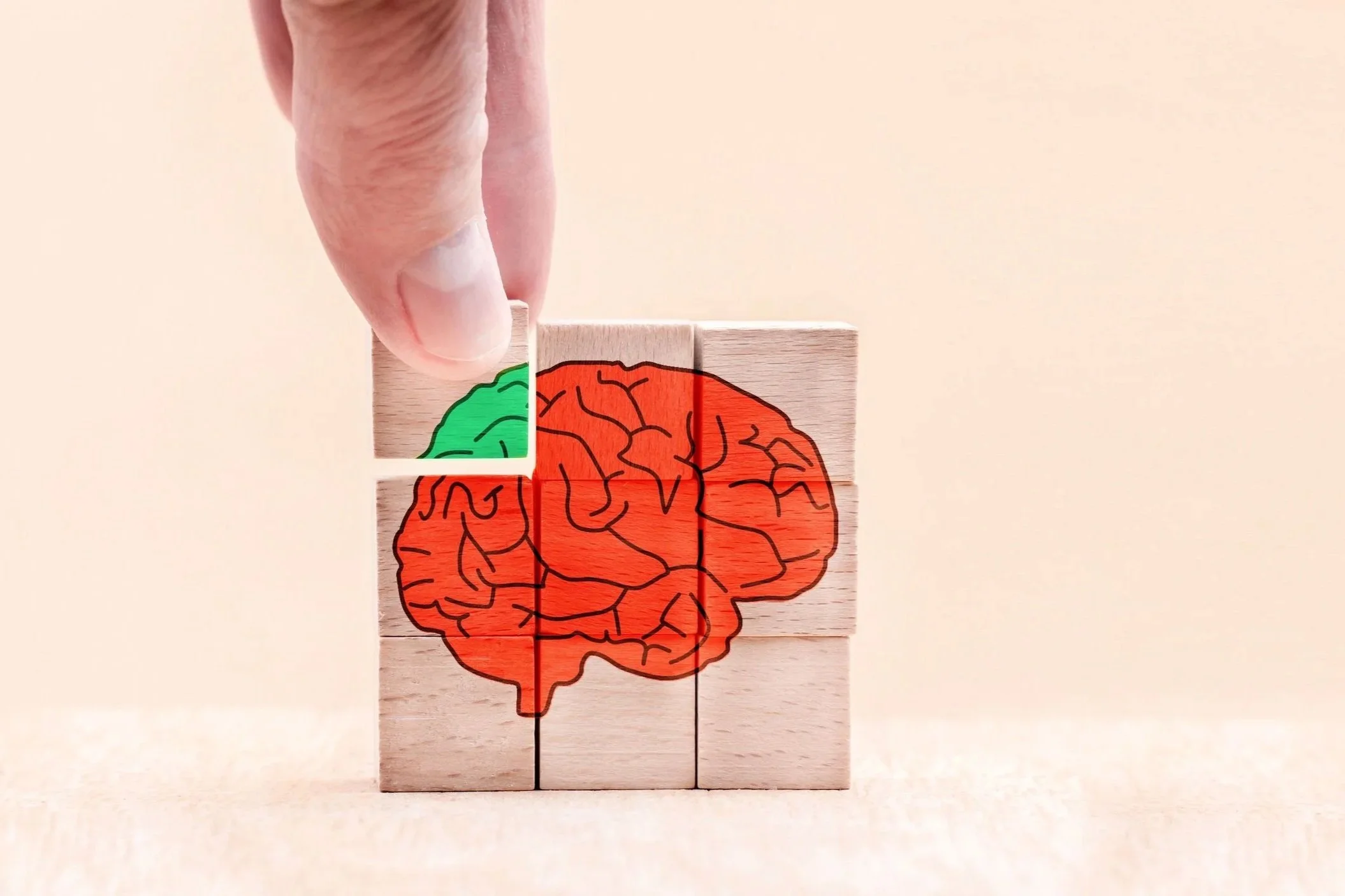 Brain Health &amp; Neuroplasticity: The Clinical Guide