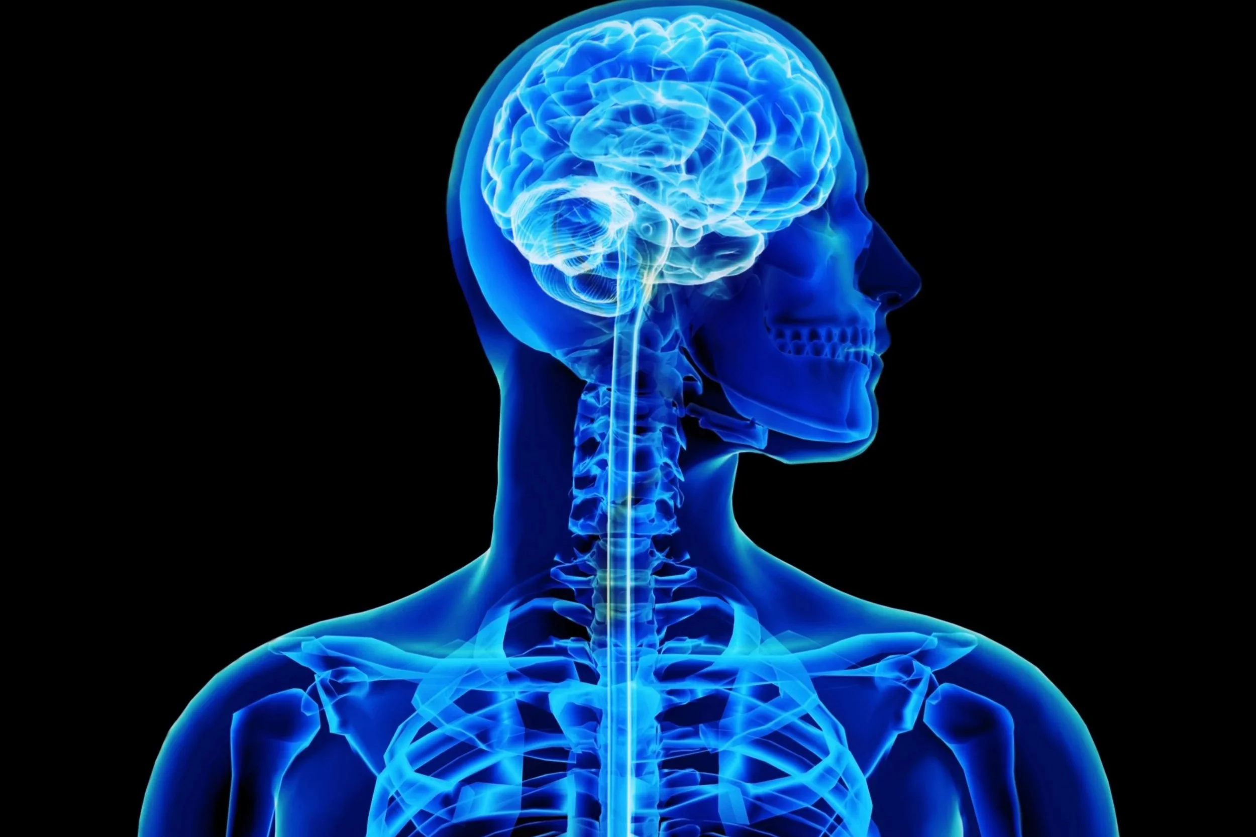 The Electric Skeleton: Why Your Bones are Biological Batteries