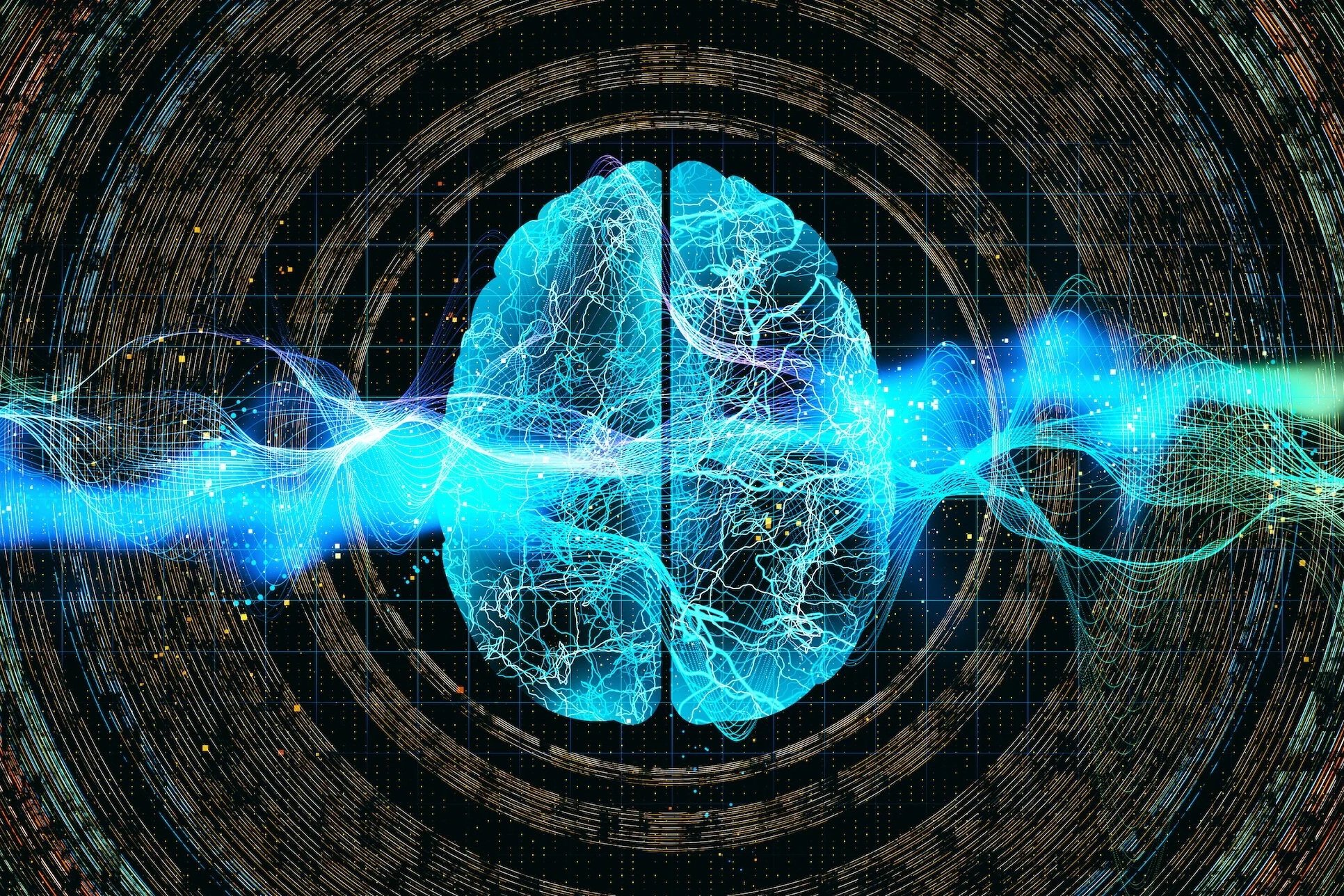 How fast do brain signals travel?