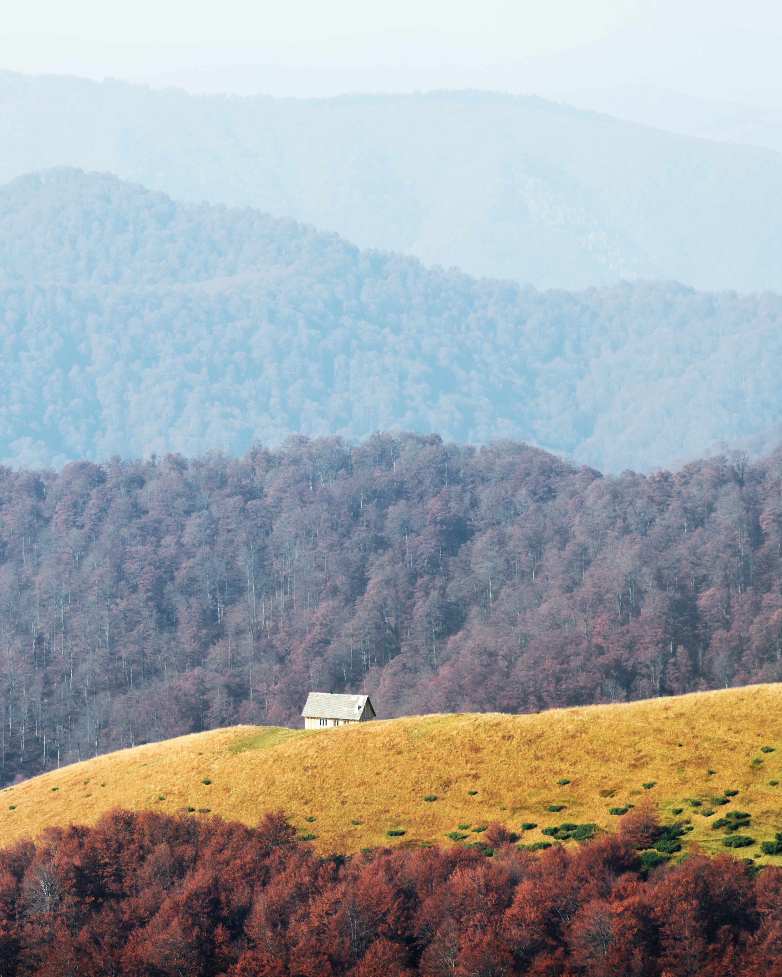 A scenic landscape of rolling hills covered with trees in fall foliage, a small house in the foreground, and blue mountains in the background.