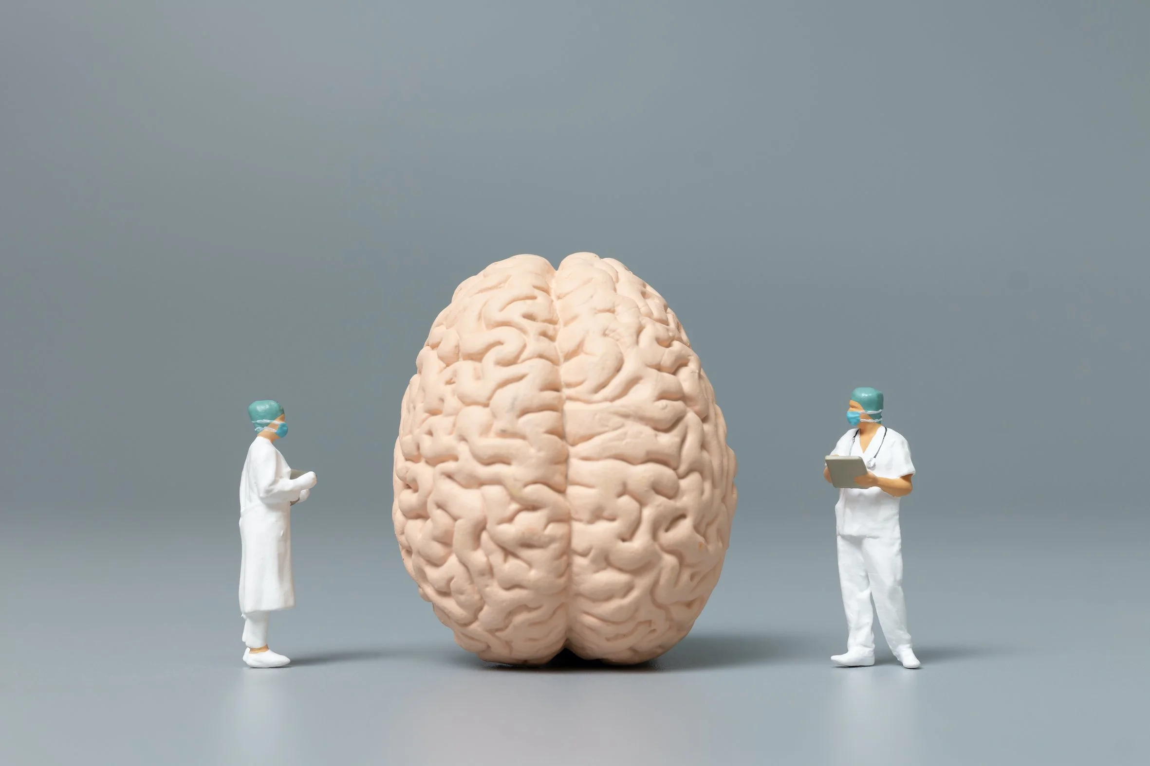 What is the Brain Made Of?