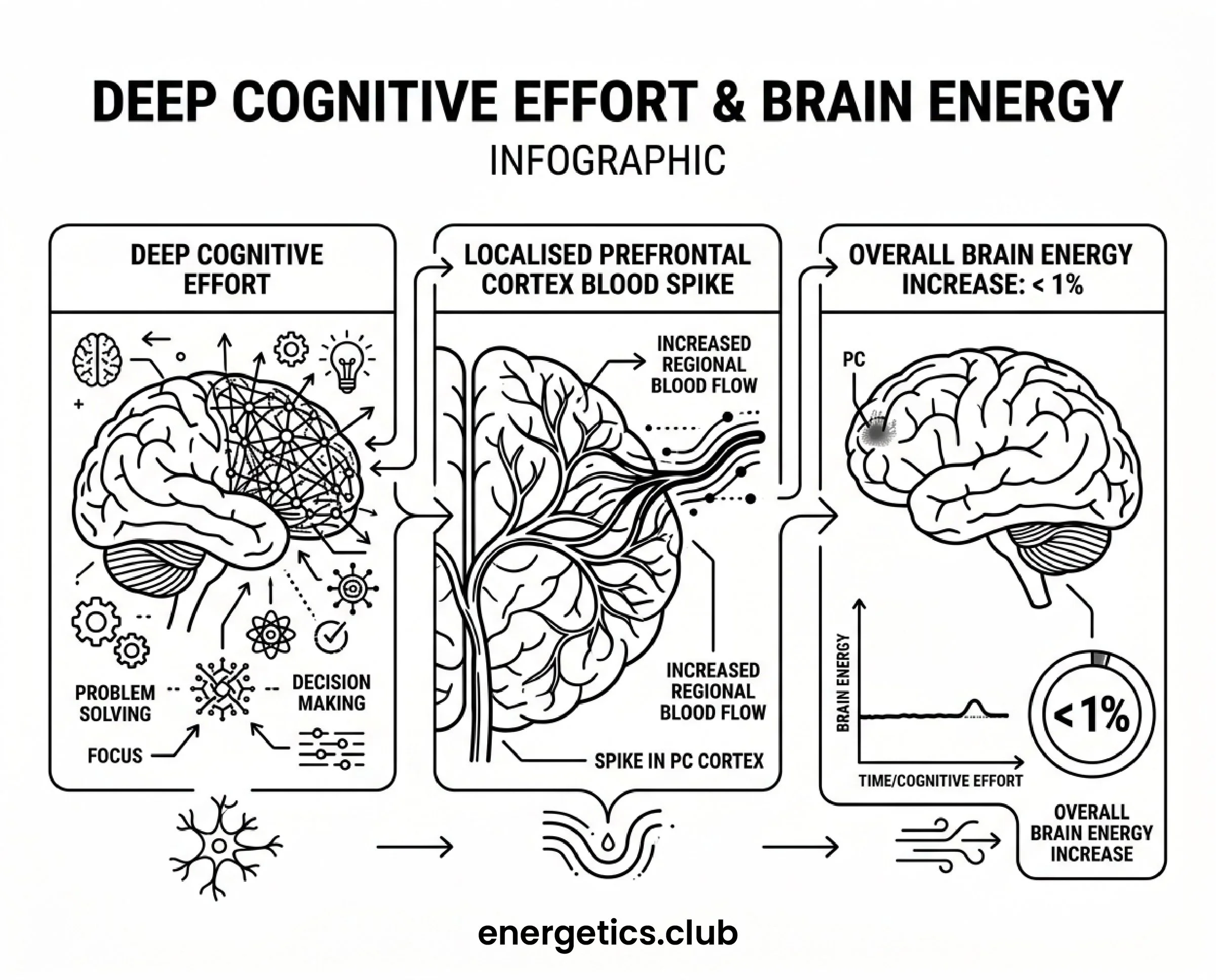 how thinking deeply only adds 1% of extra energy increase