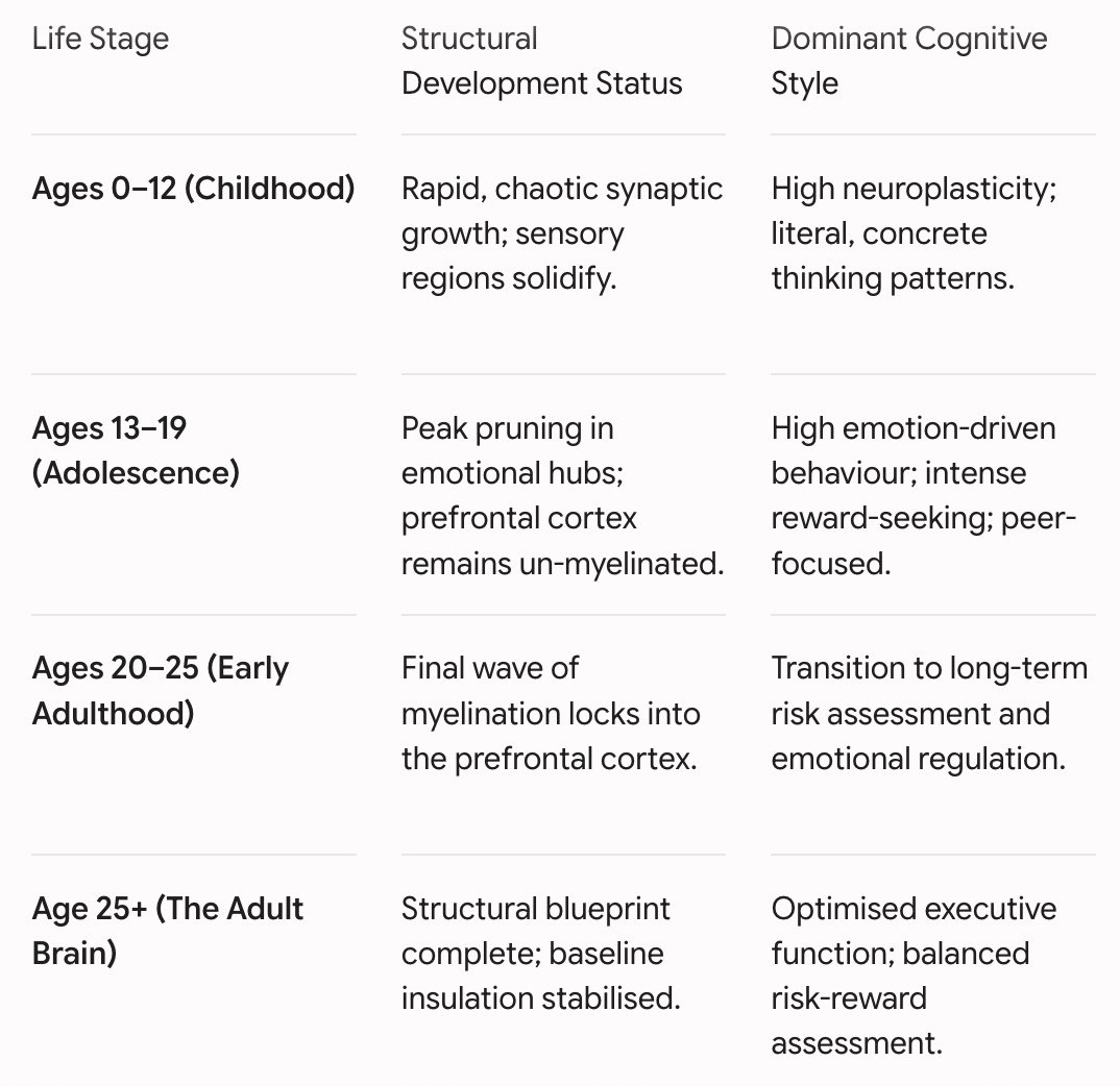 brain development chart
