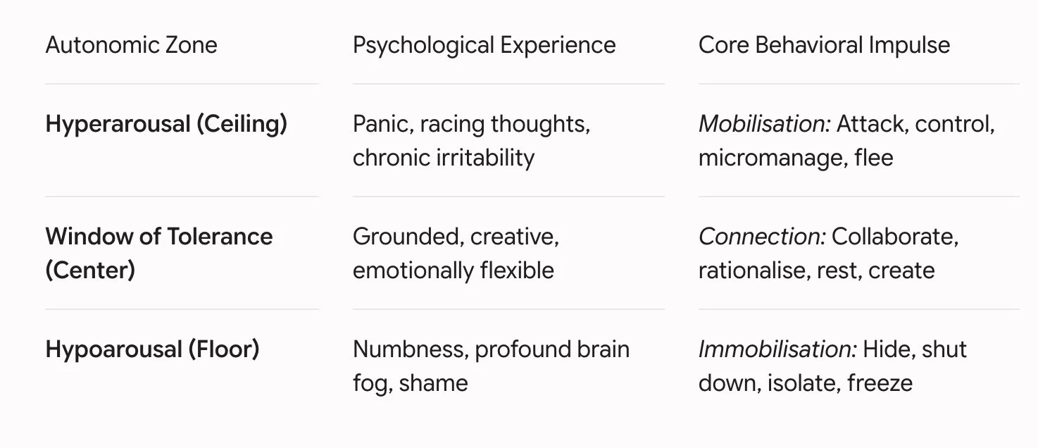 doagram of window of tolerance autonomic zone