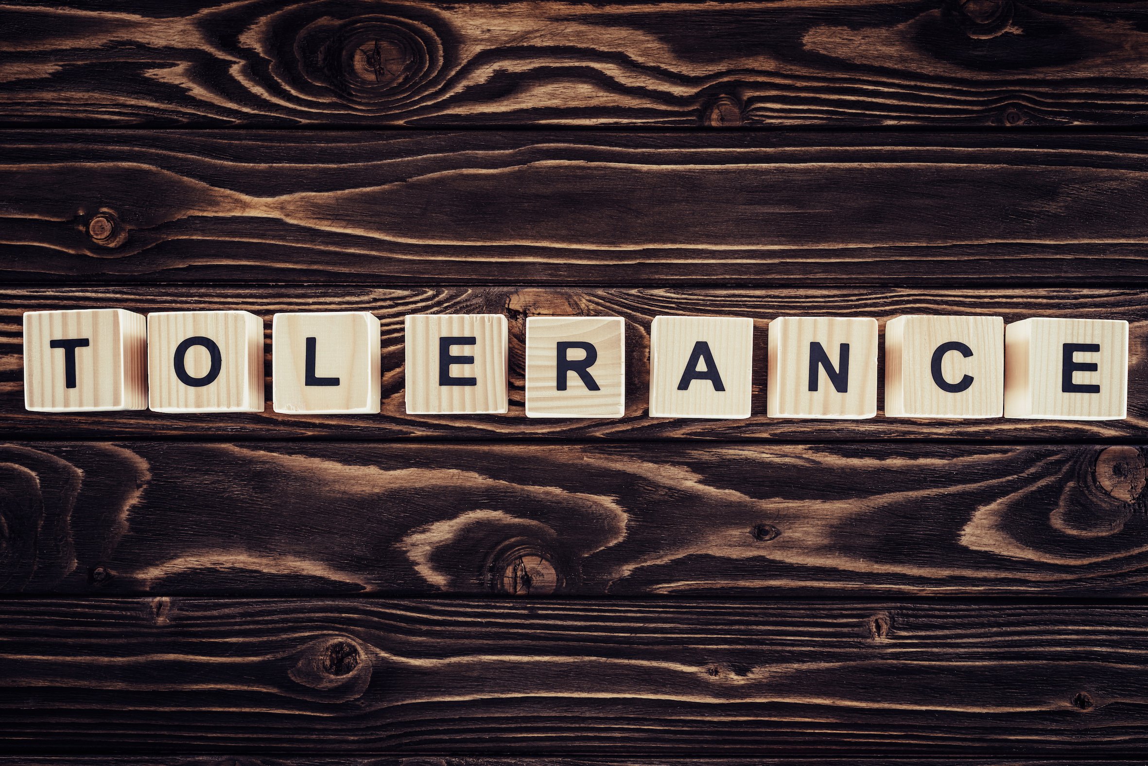 the word tolerance spelt out in alphabet blocks