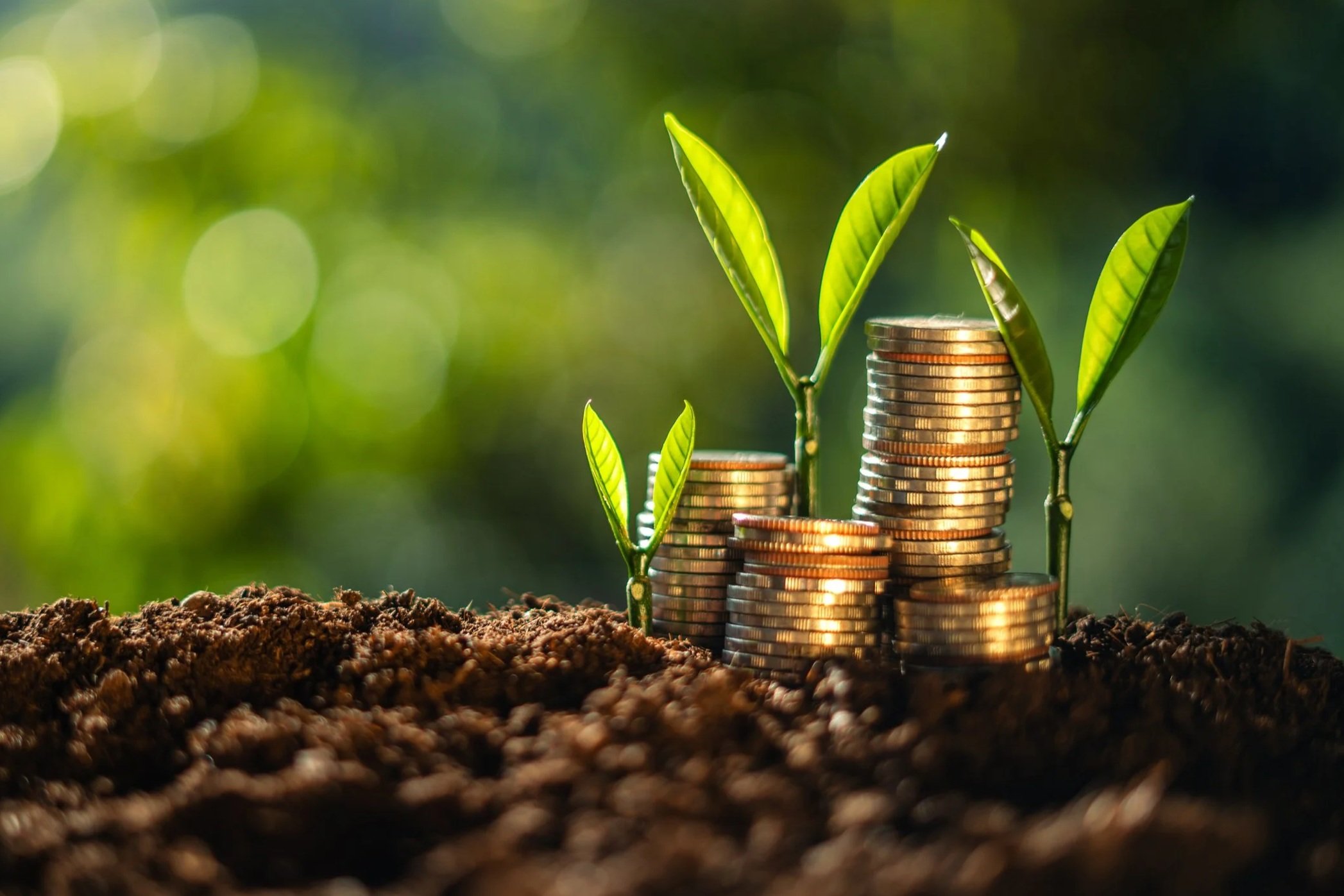 Growing plants from stacked coins symbolize financial growth and investment, with a blurred green background.