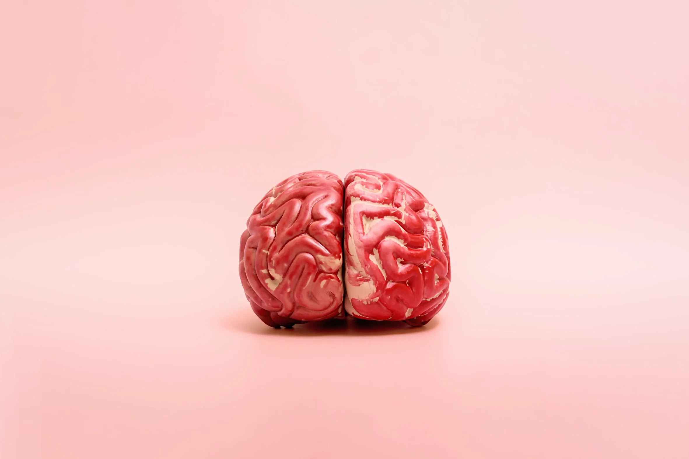 do we use 10% of our brain?