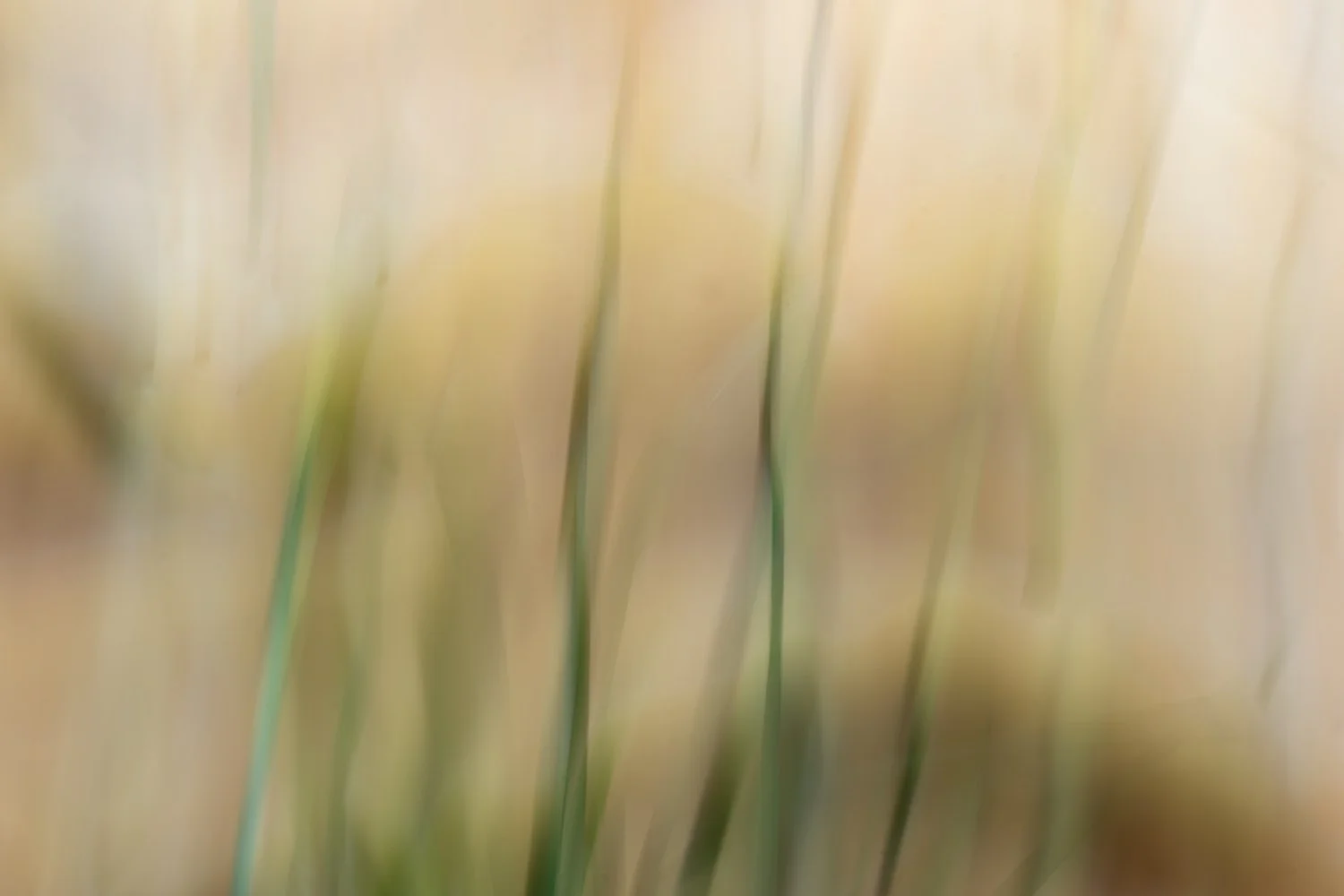 Dissipating