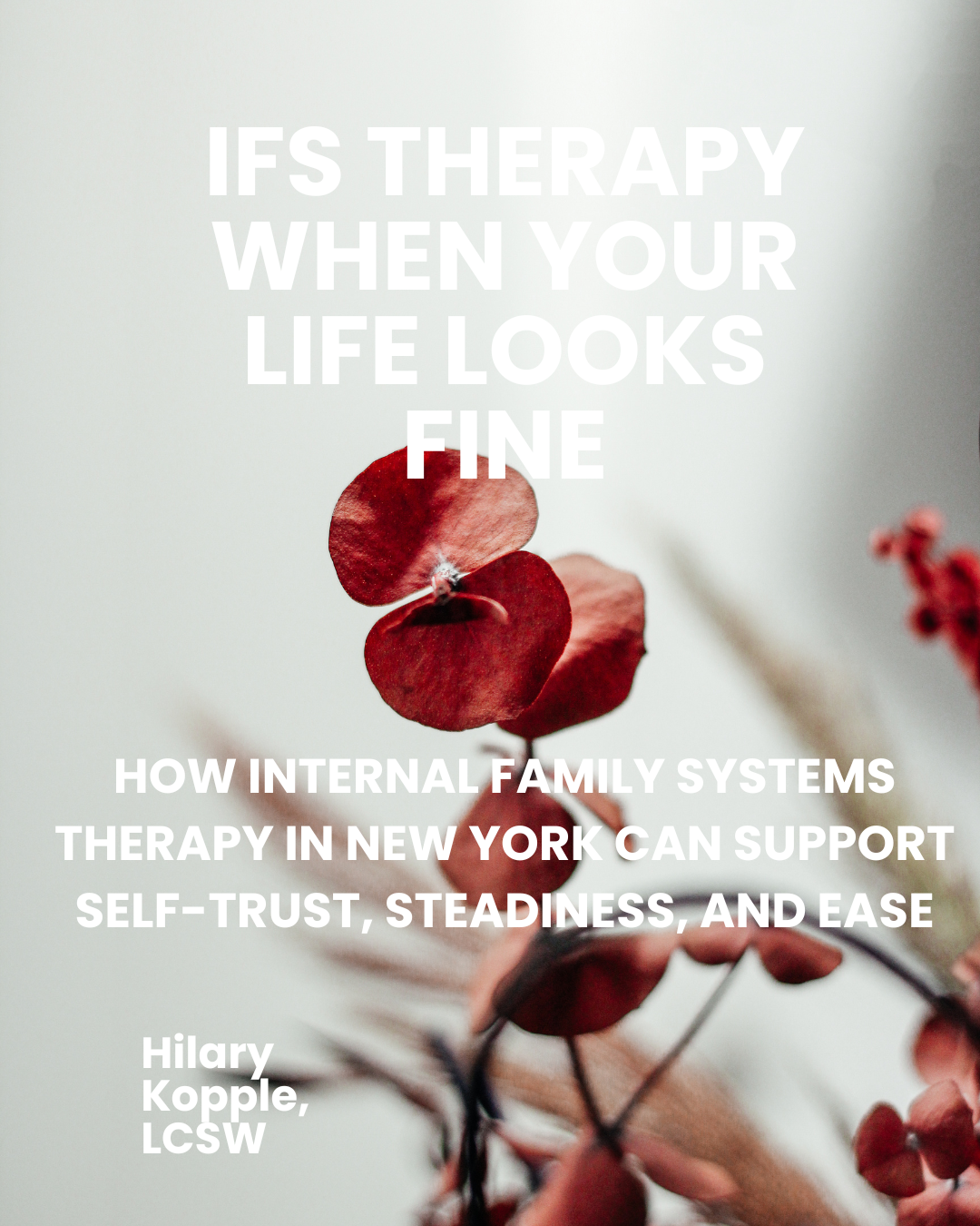 IFS Therapy When Your Life Looks Fine: How Internal Family Systems Therapy in New York Can Support Self-Trust, Steadiness, and Ease