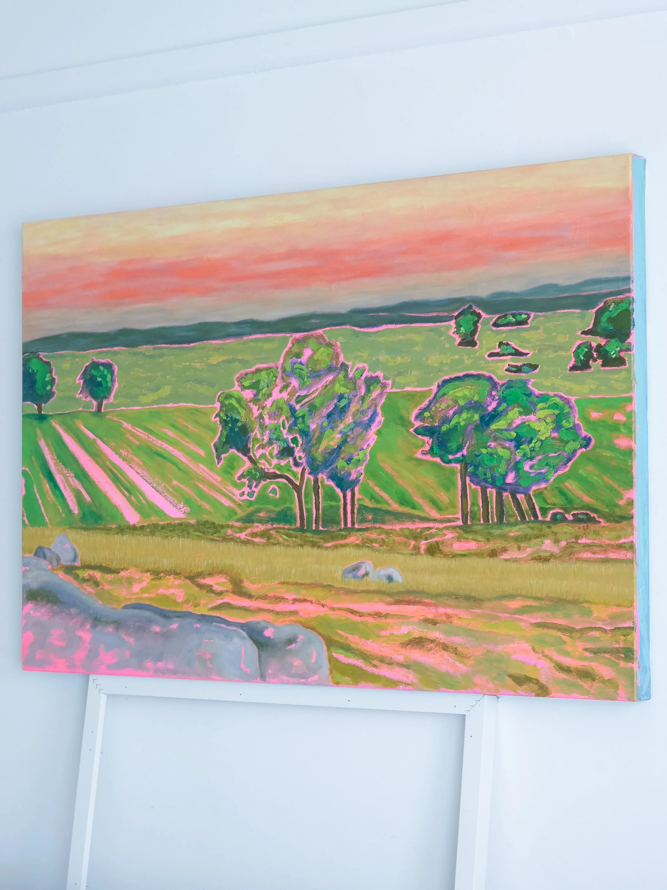 bianca-eleanor-dog-rocks-sunset-oil-painting-side.jpg