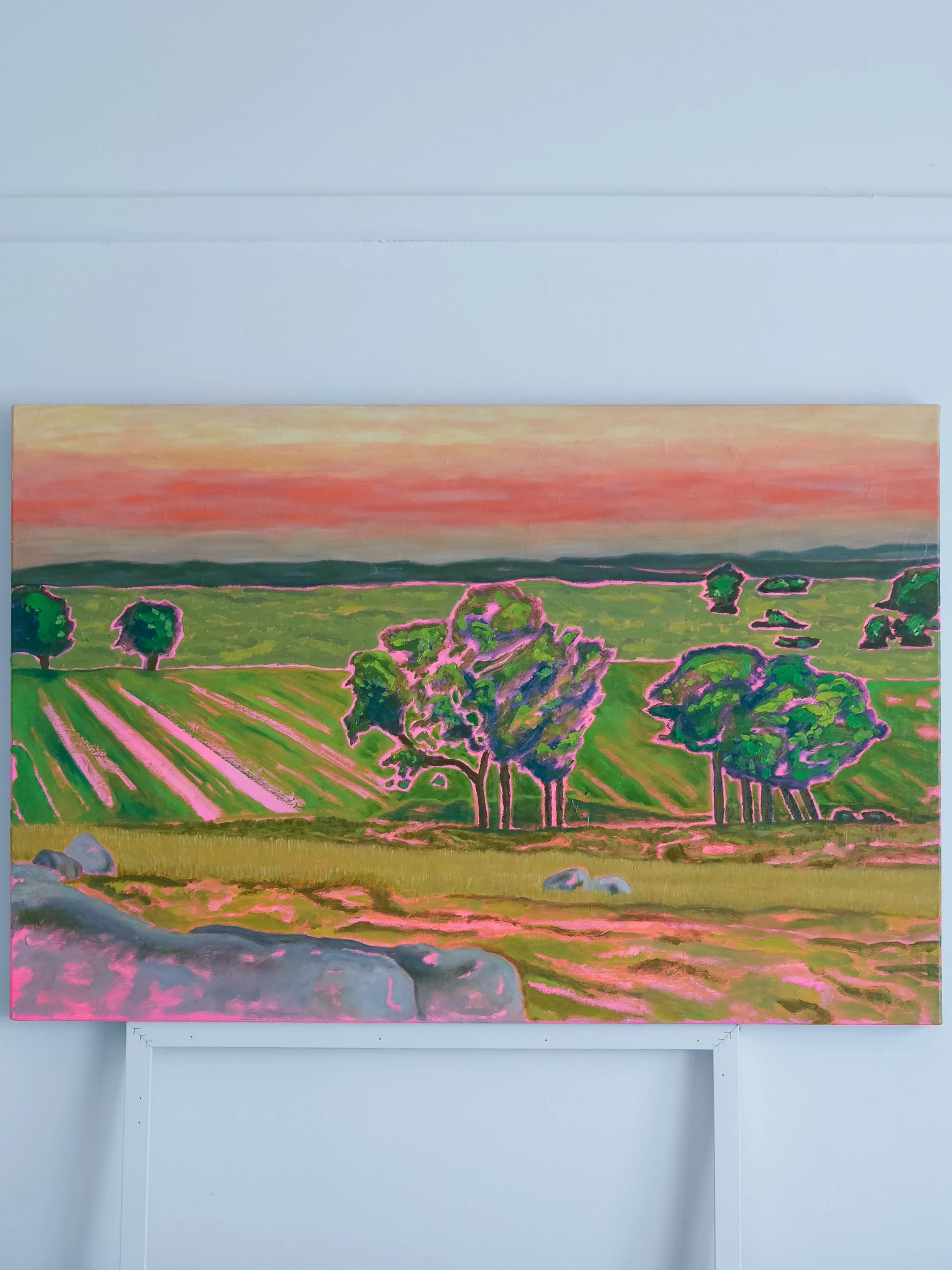 bianca-eleanor-dog-rocks-sunset-oil-painting.jpg
