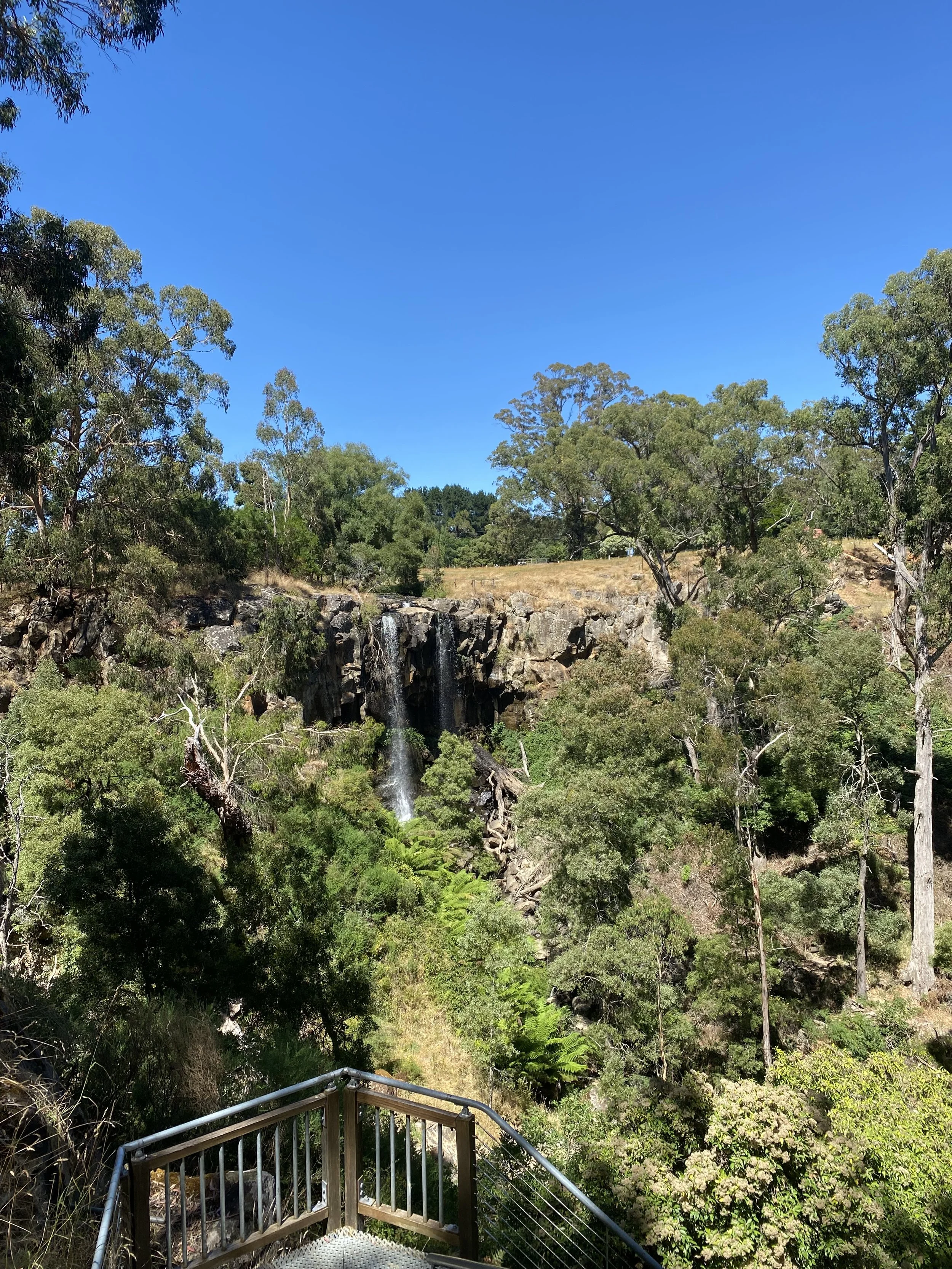 A scenic view of a lush green forest with a small waterfall cascading over rocks. Tall trees surround the area under a clear blue sky. A metal railing is visible in the foreground.