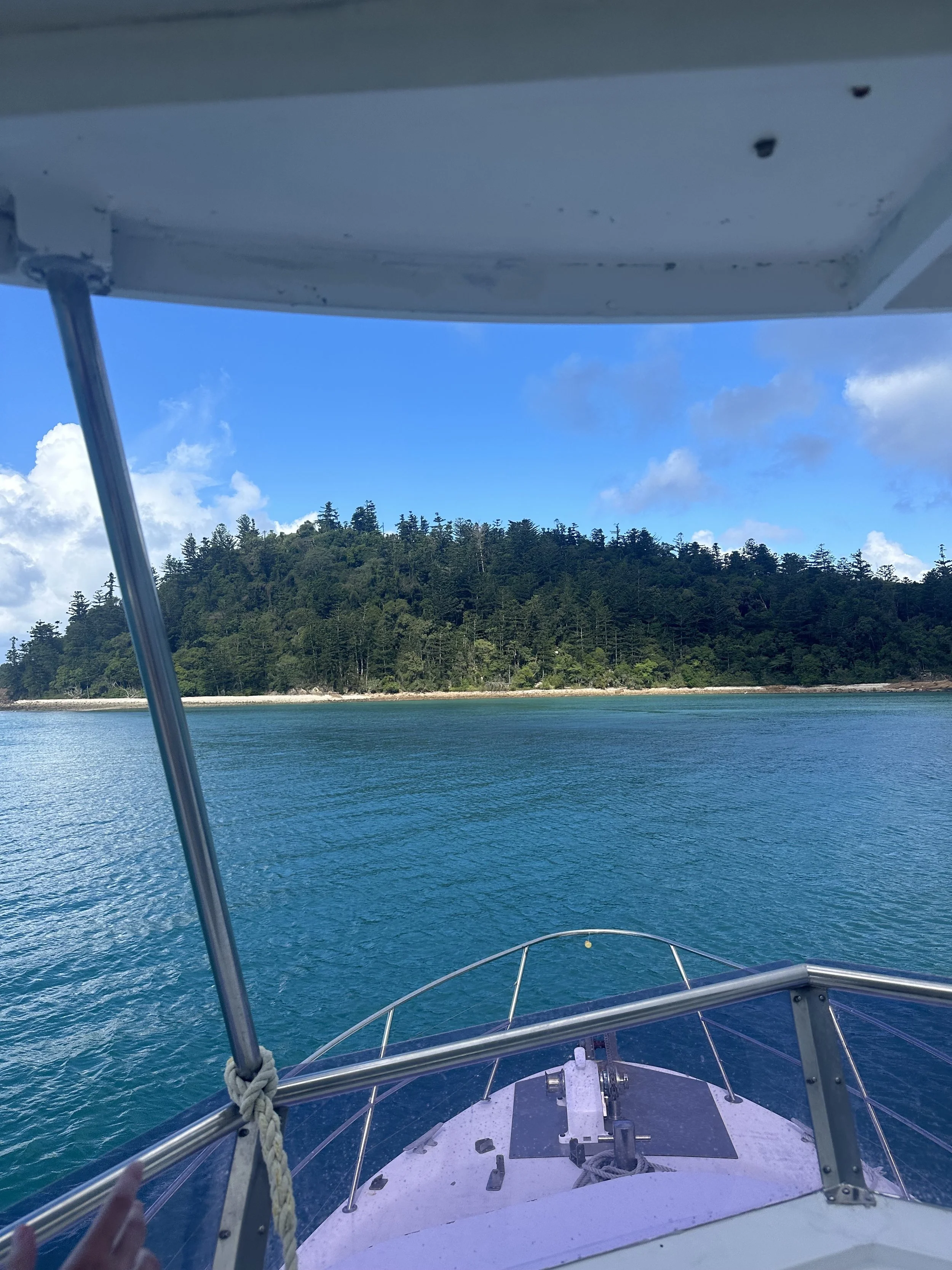 View from a boat showing a rocky shoreline covered with dense green trees, under a partly cloudy blue sky, with the boat's front deck and railing visible in the foreground.