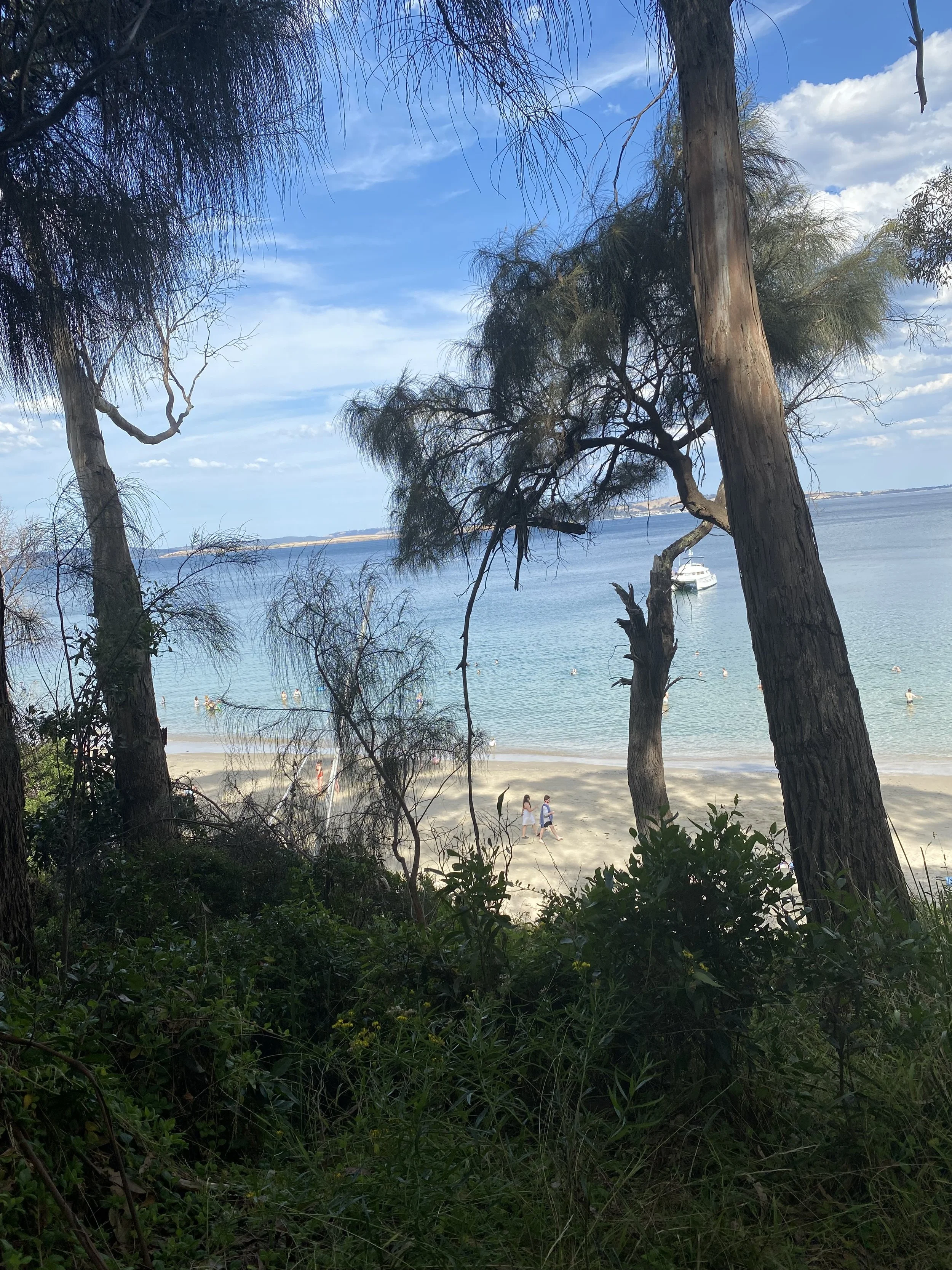 View through trees overlooking a beach with people and a boat on the water under a partly cloudy sky.