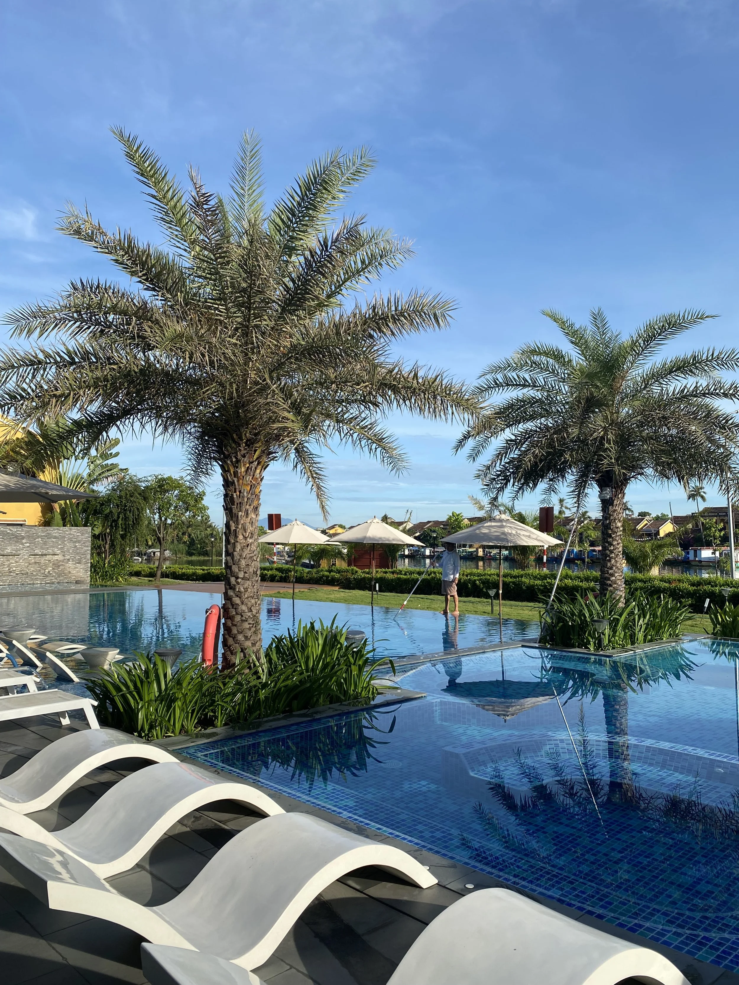 Swimming pool area with lounge chairs, palm trees, umbrellas, and a sunny sky in the background.