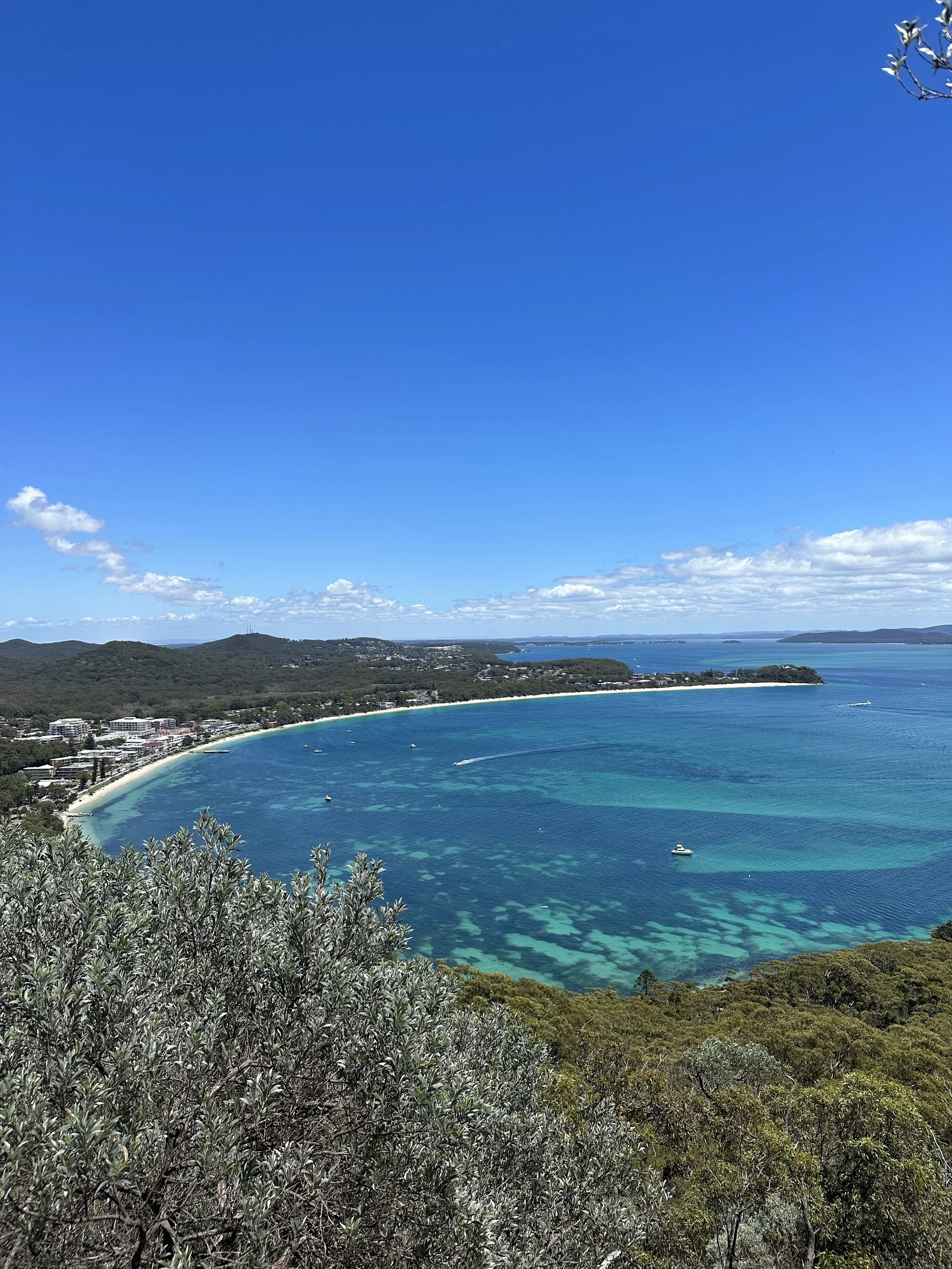 A panoramic view of a coastal landscape with lush green forest, a sandy beach, and a calm, blue ocean under a clear blue sky with some scattered clouds.