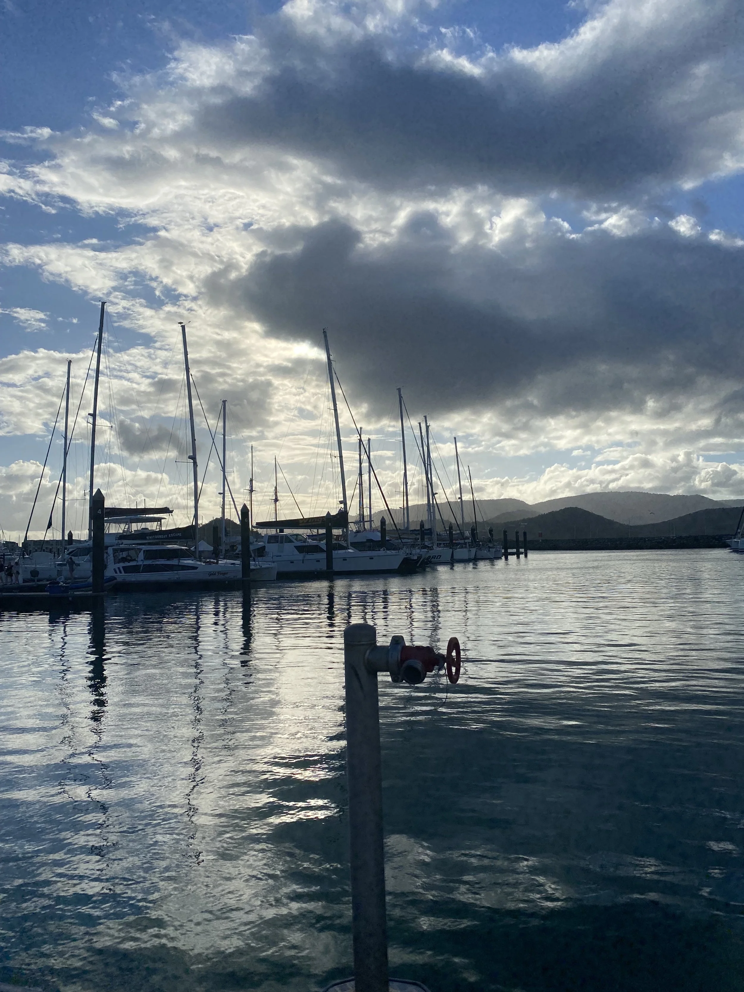View of sailboats docked in a marina with a cloudy sky and mountains in the background, and a hydrant in the foreground.