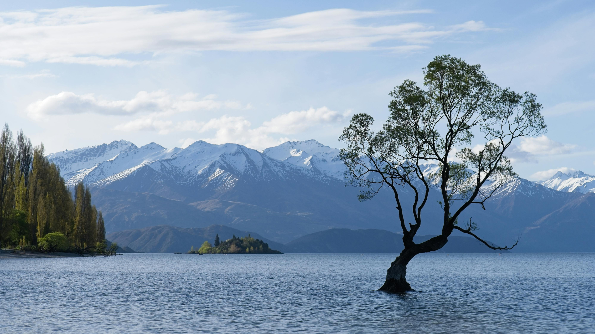 Choosing the Right Mobility Solutions in New Zealand: A Guide for Families &amp; Seniors