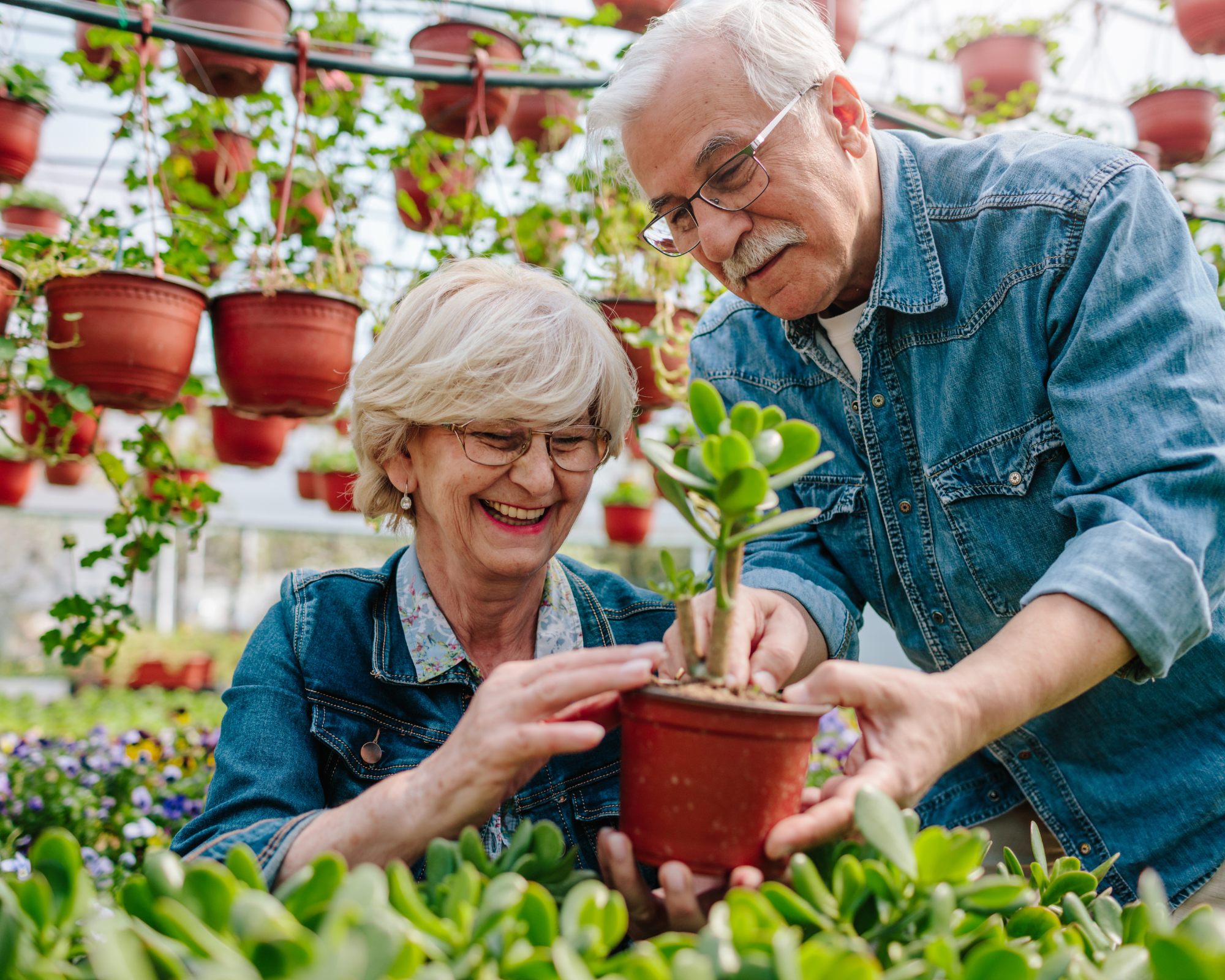 What Is an Ambulatory Wheelchair User?