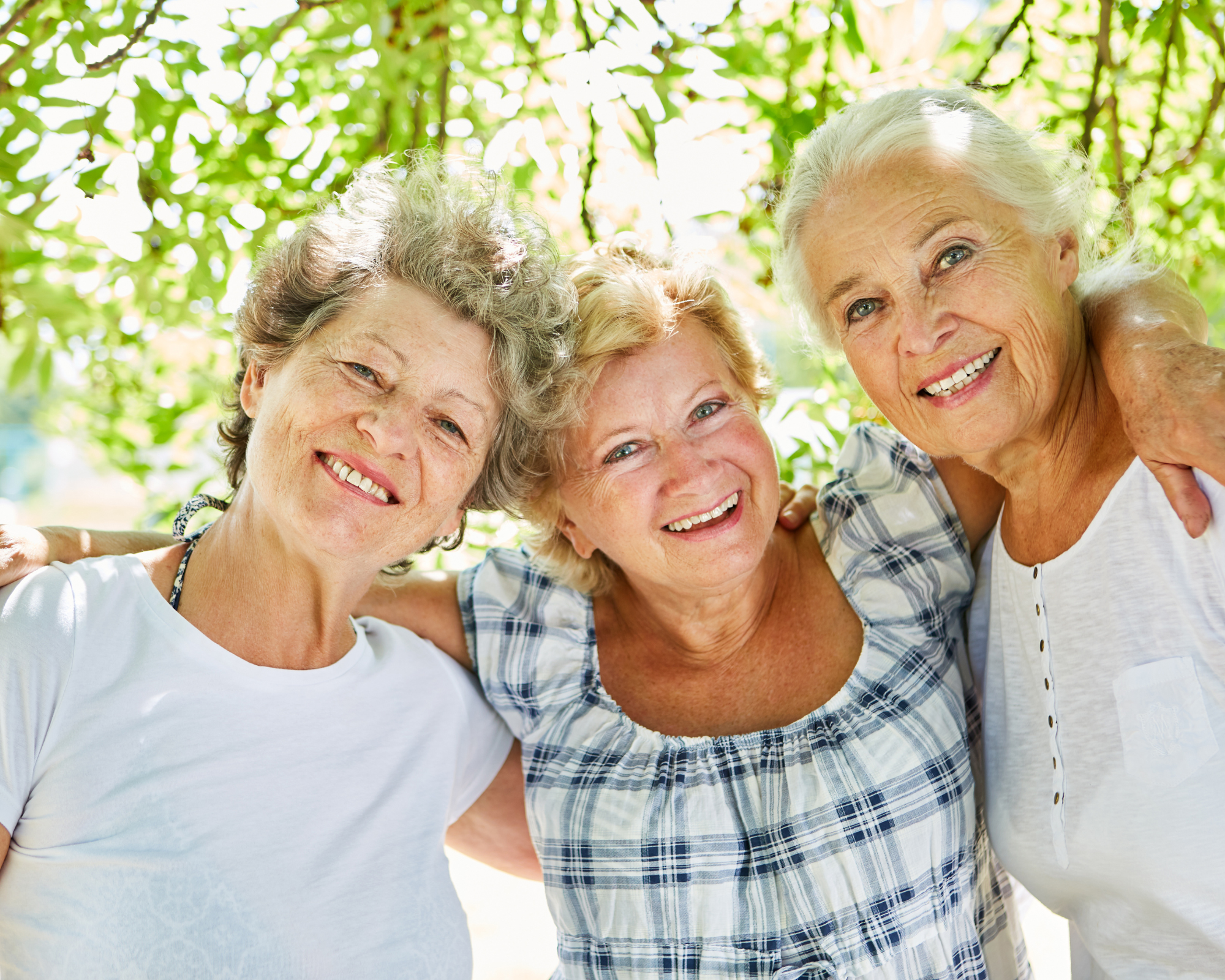 What mobility equipment is available for multiple sclerosis (MS) in New Zealand?