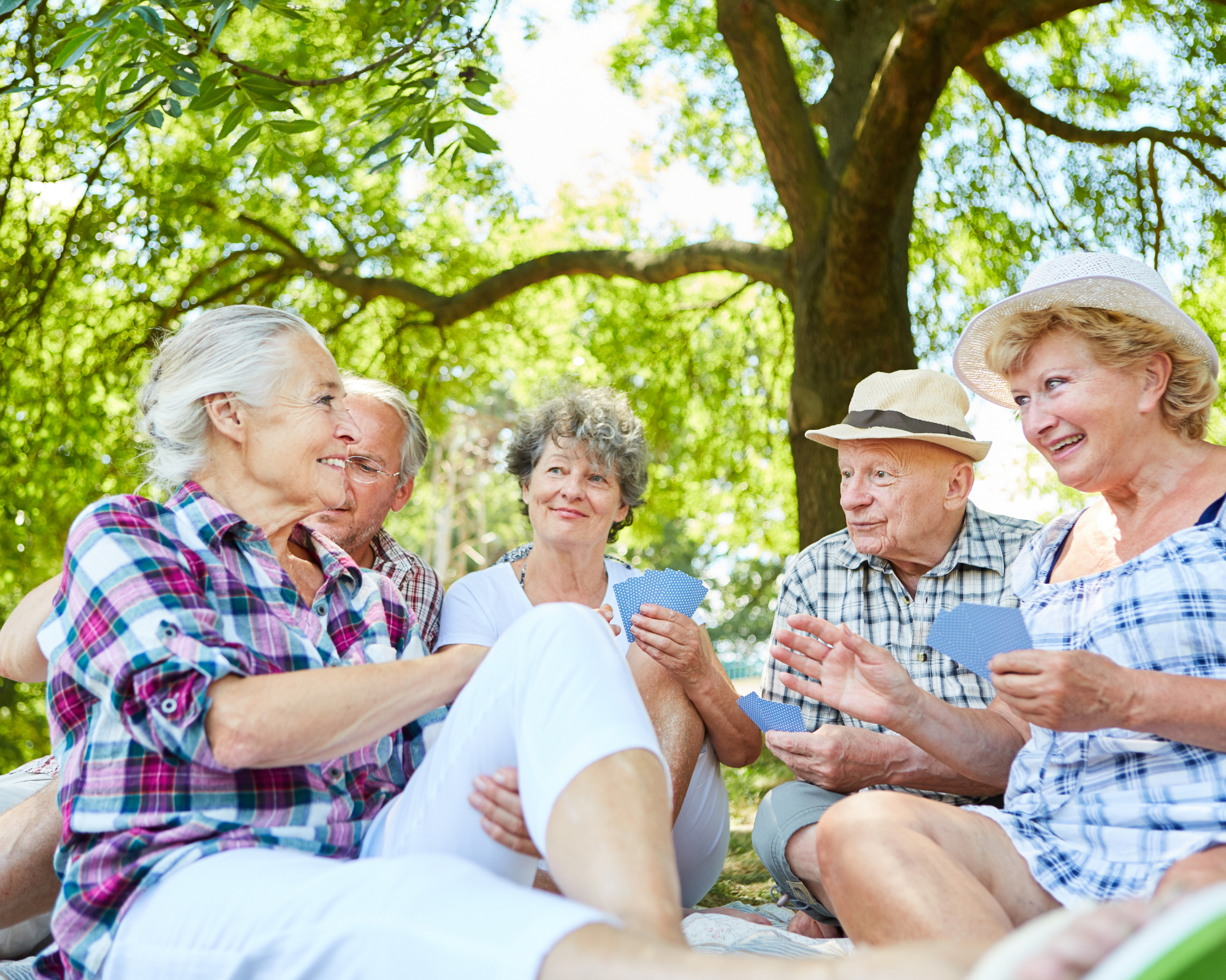 Choosing the Right Mobility Solutions in New Zealand: A Guide for Families &amp; Seniors