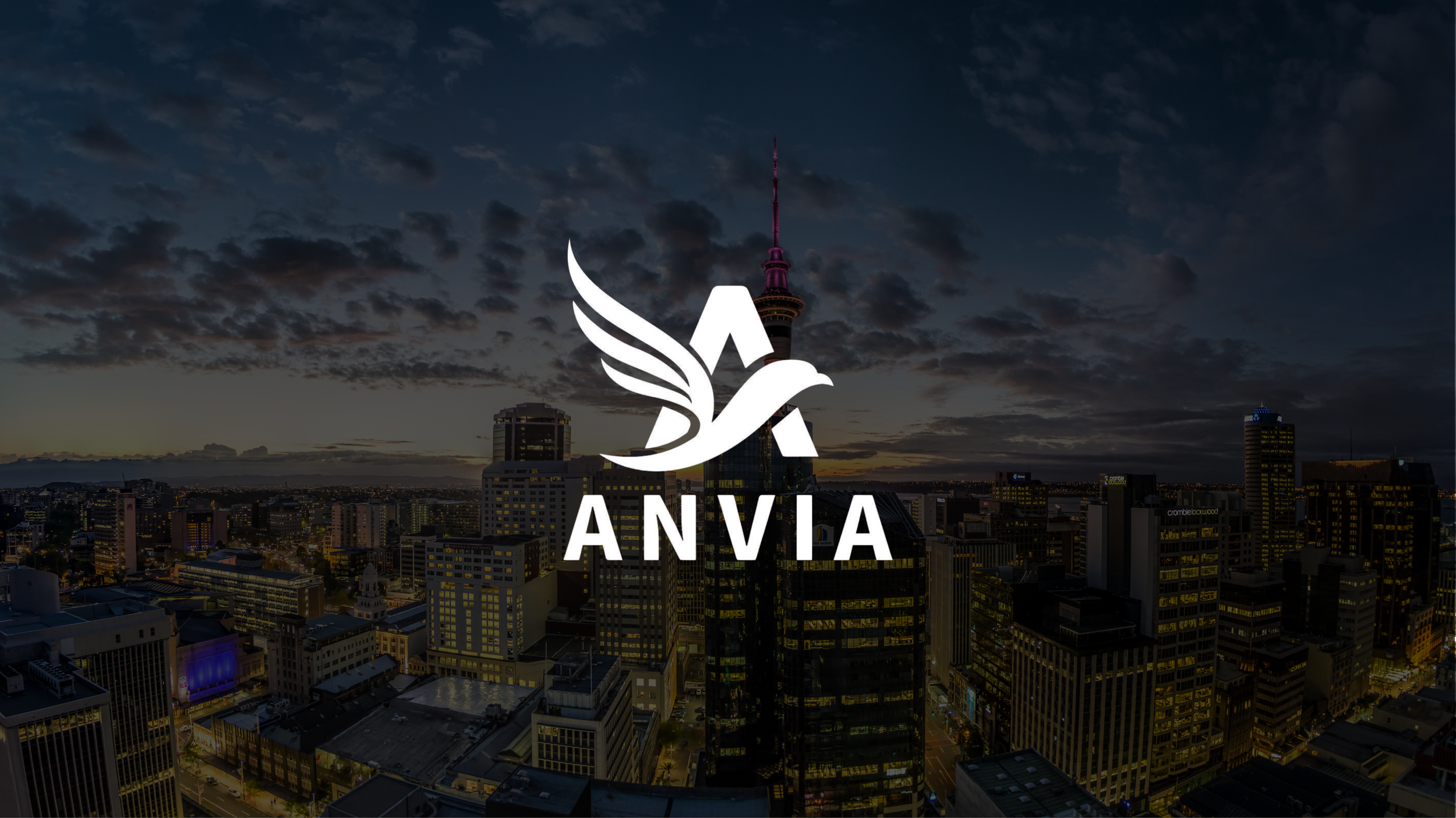 Anvia Product website (11).png