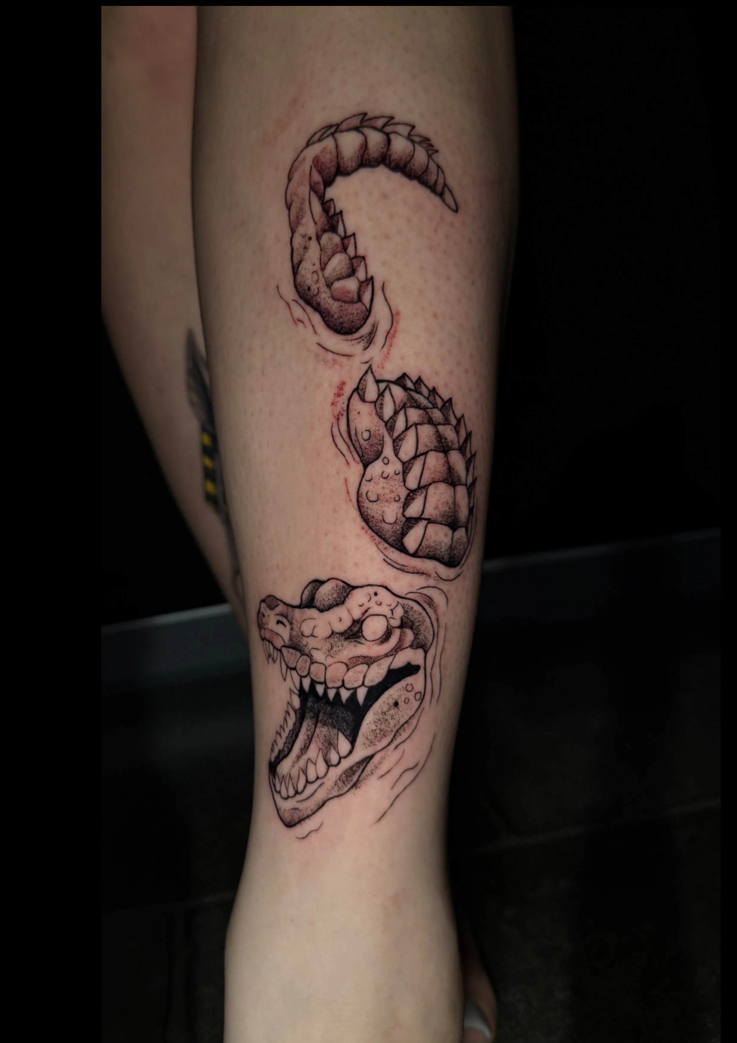 Tattoo eines Alligators auf dem Unterschenkel mit drei Köpfen, die sich in eine Richtung bewegen, in Schwarz und Grau mit Schattierungen.