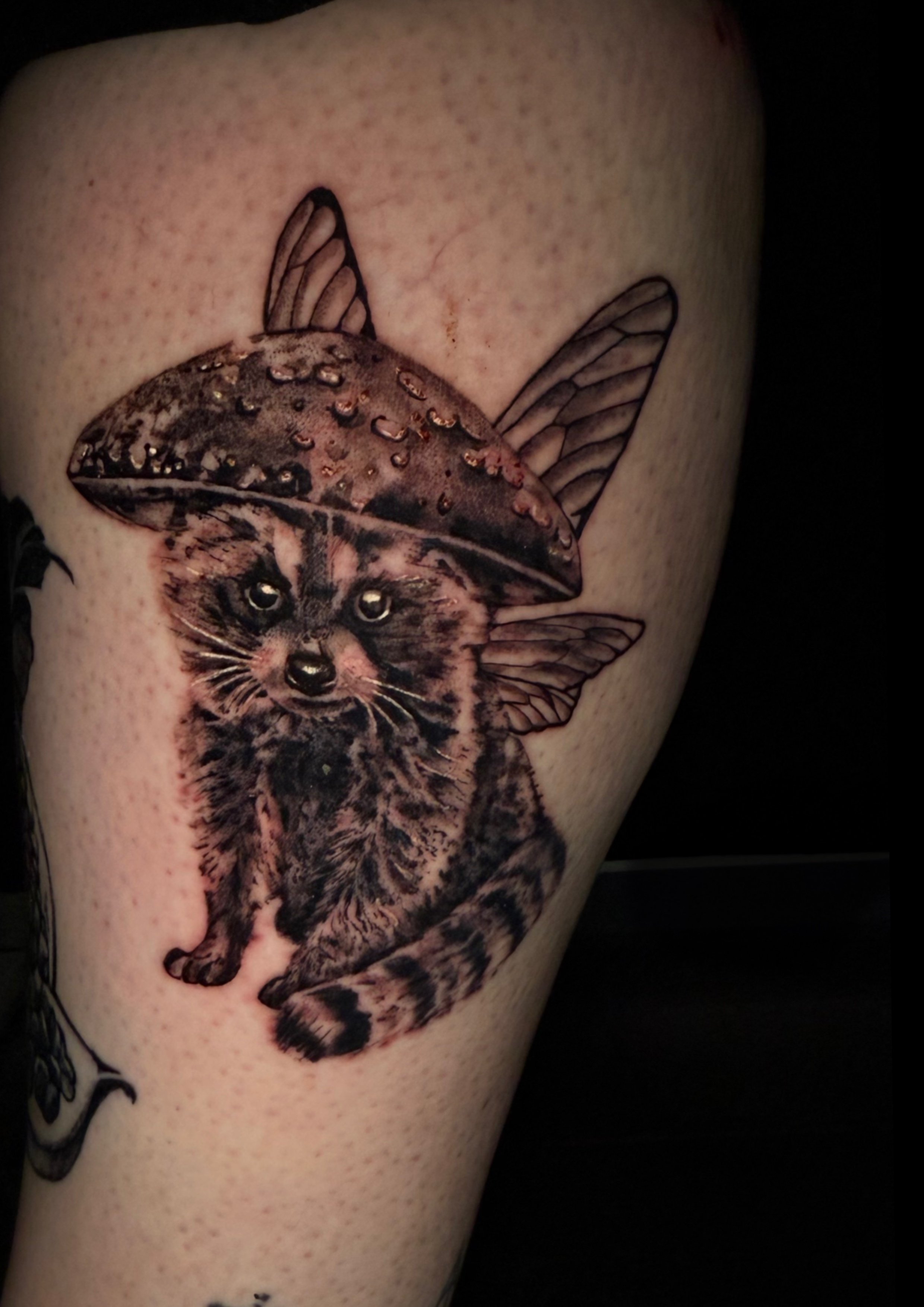 Tattoo eines Waschbären mit Flügeln und einem Pilz-Hut auf dem Kopf.