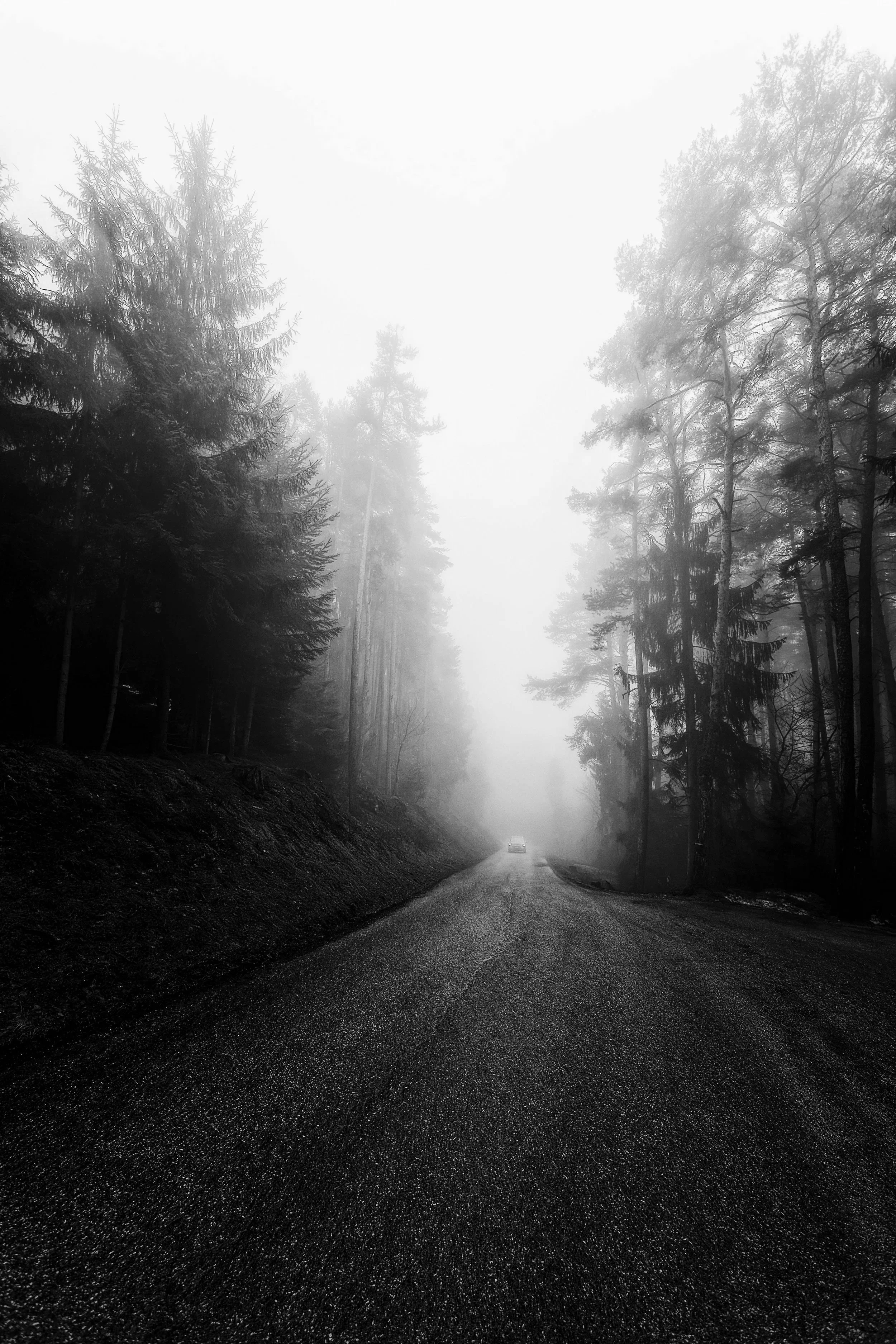 Before arriving to the studio