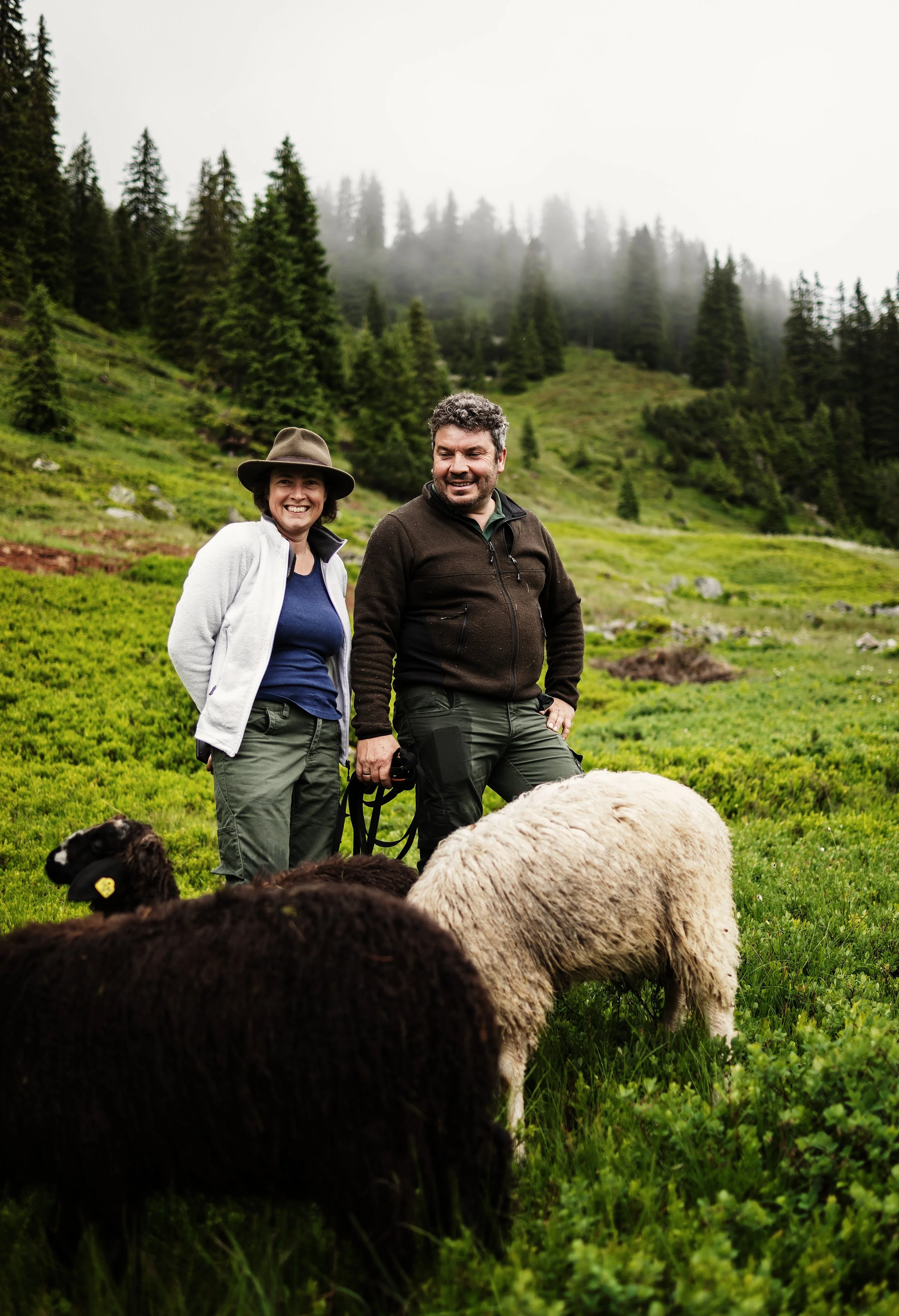 Produzenten mit Steinschafen im montafon