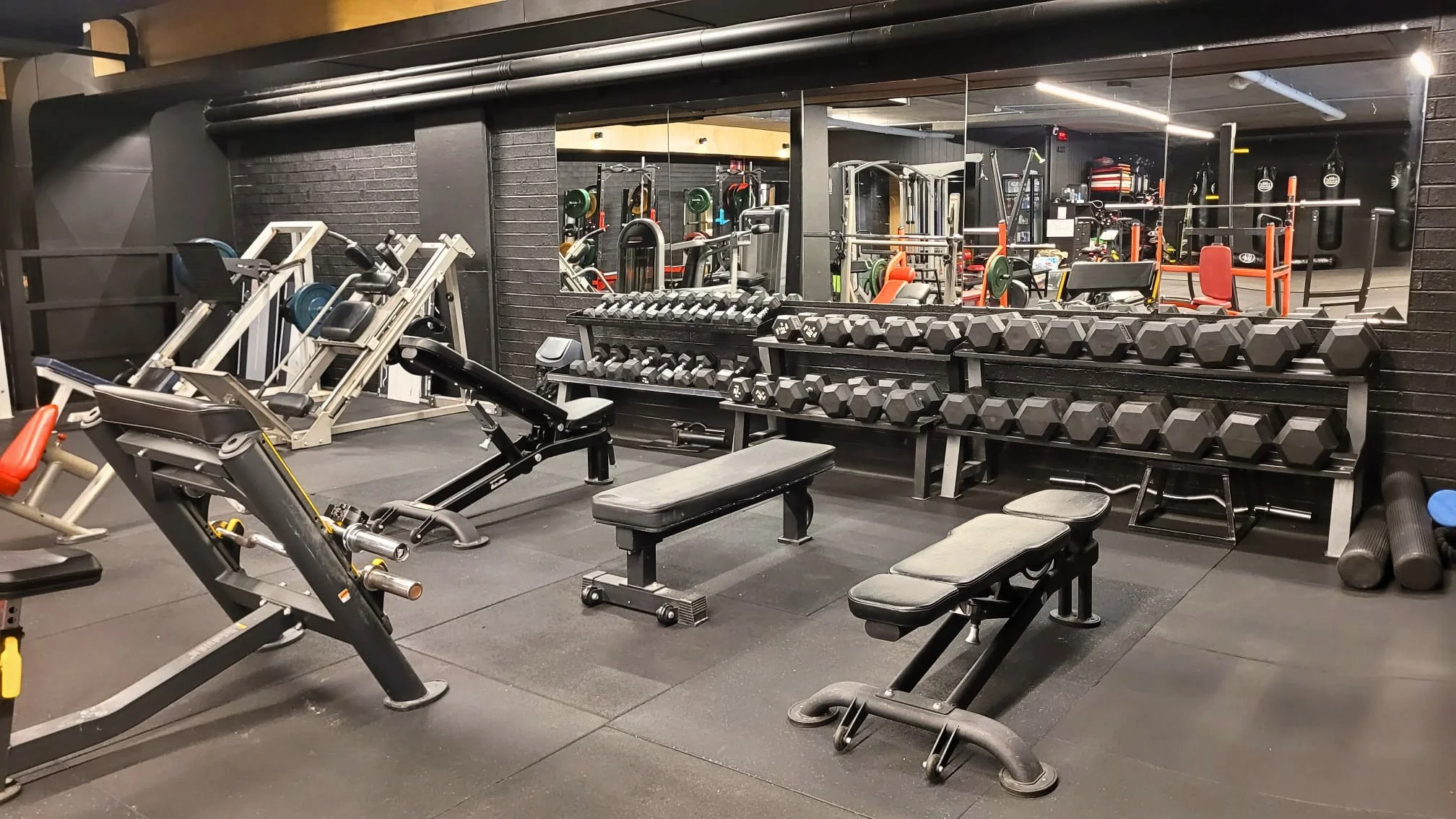 Dumbell area update canva.jpg