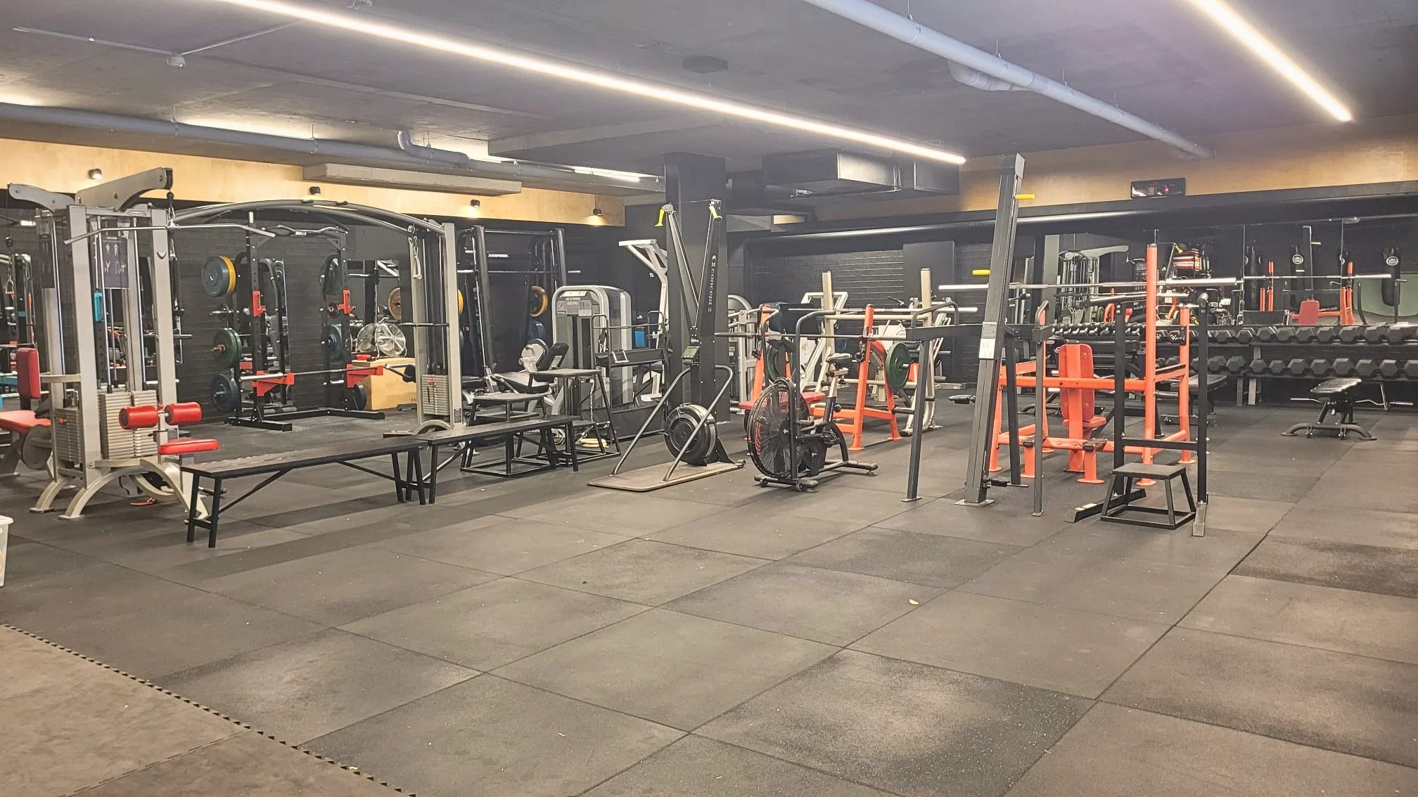 weights 3 updated canva.jpg