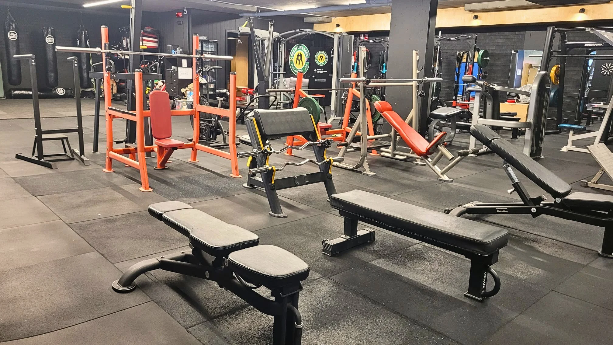 bench 2 canva update.jpg