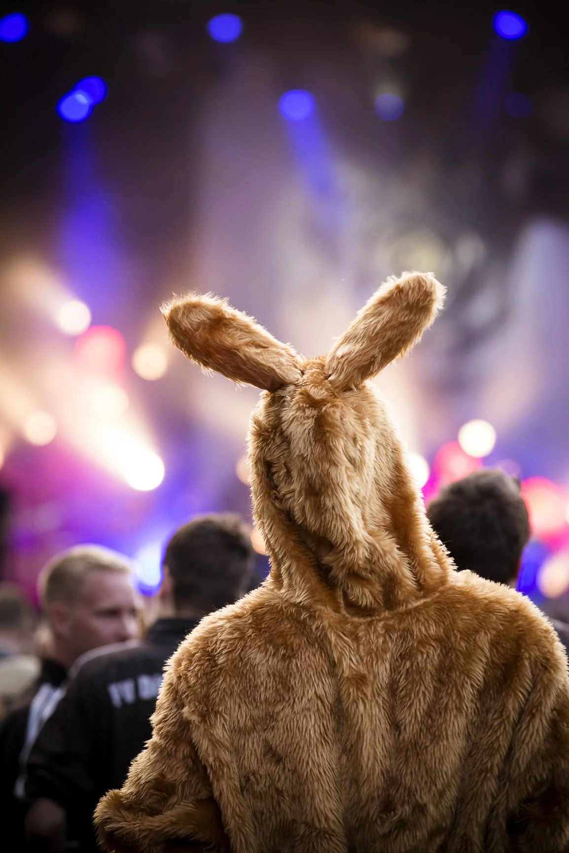 Eine Person trägt einen braunen Hasenkostüm auf einer Party oder einem Konzert mit bunten Lichtern im Hintergrund.