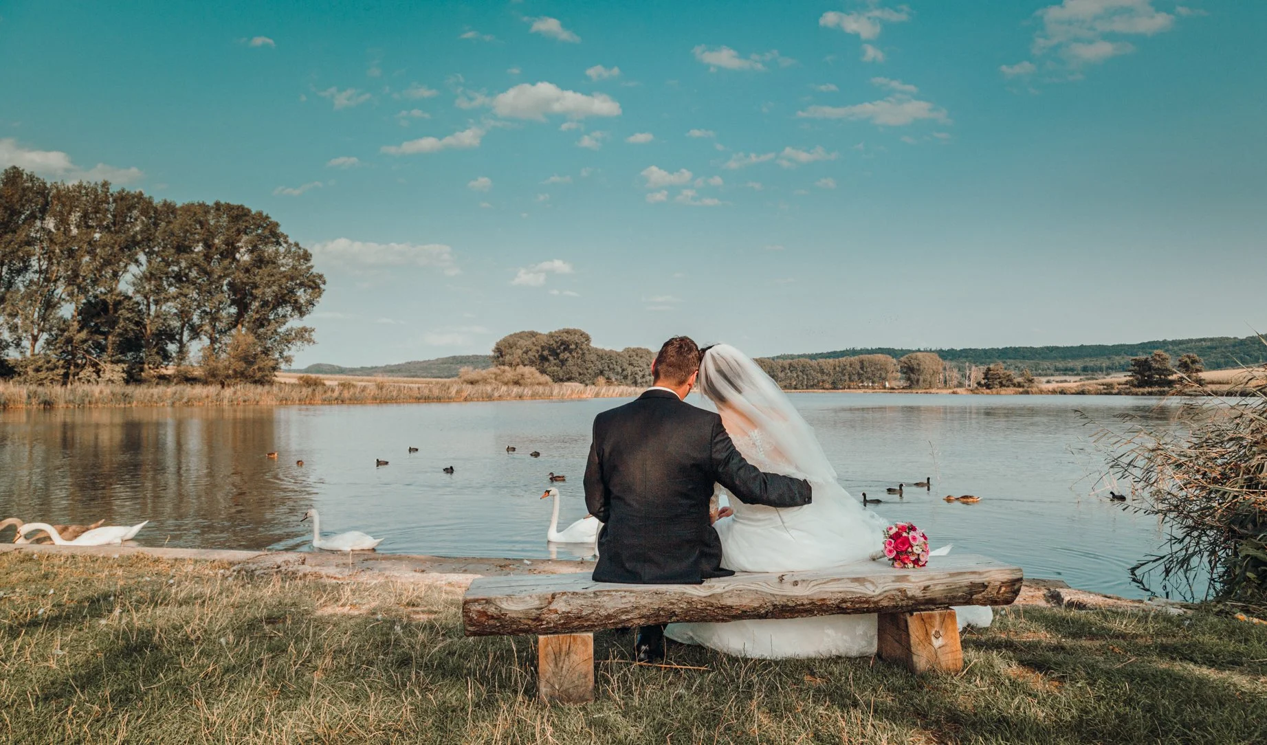 Ein Brautpaar sitzt am Ufer eines Sees, umgeben von Bäumen und einer offenen Landschaft, während Würfe in und auf dem Wasser schwimmen, an einem sonnigen Tag mit blauen Himmel und wenigen Wolken.