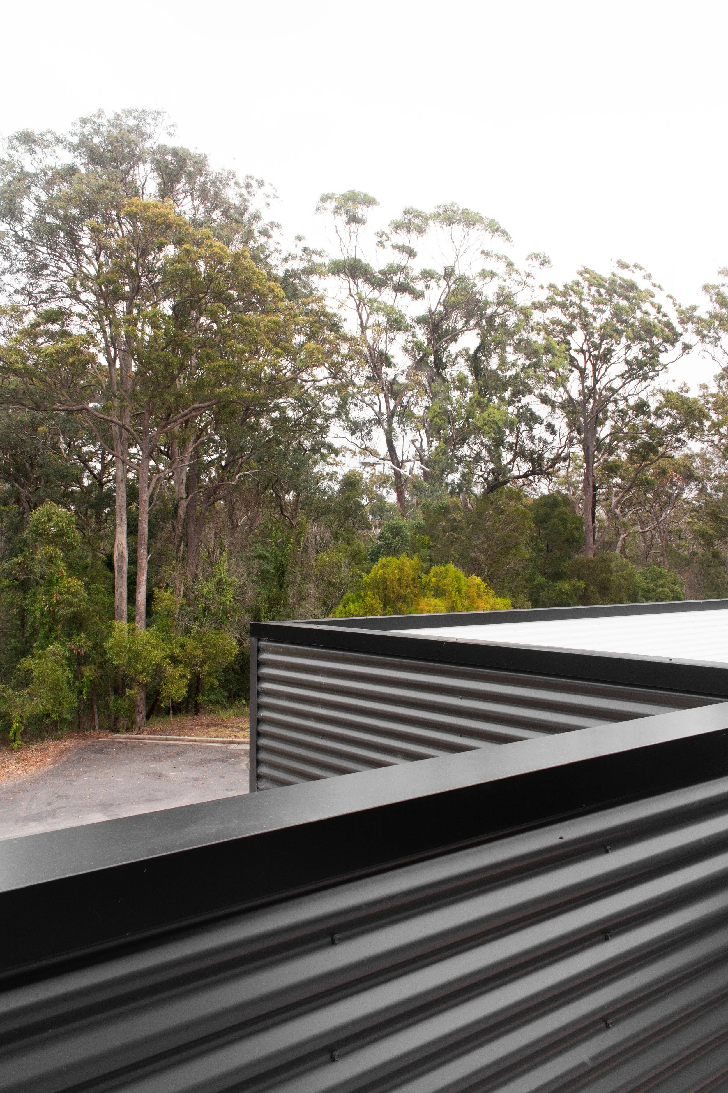 Architecture and the bush.jpeg