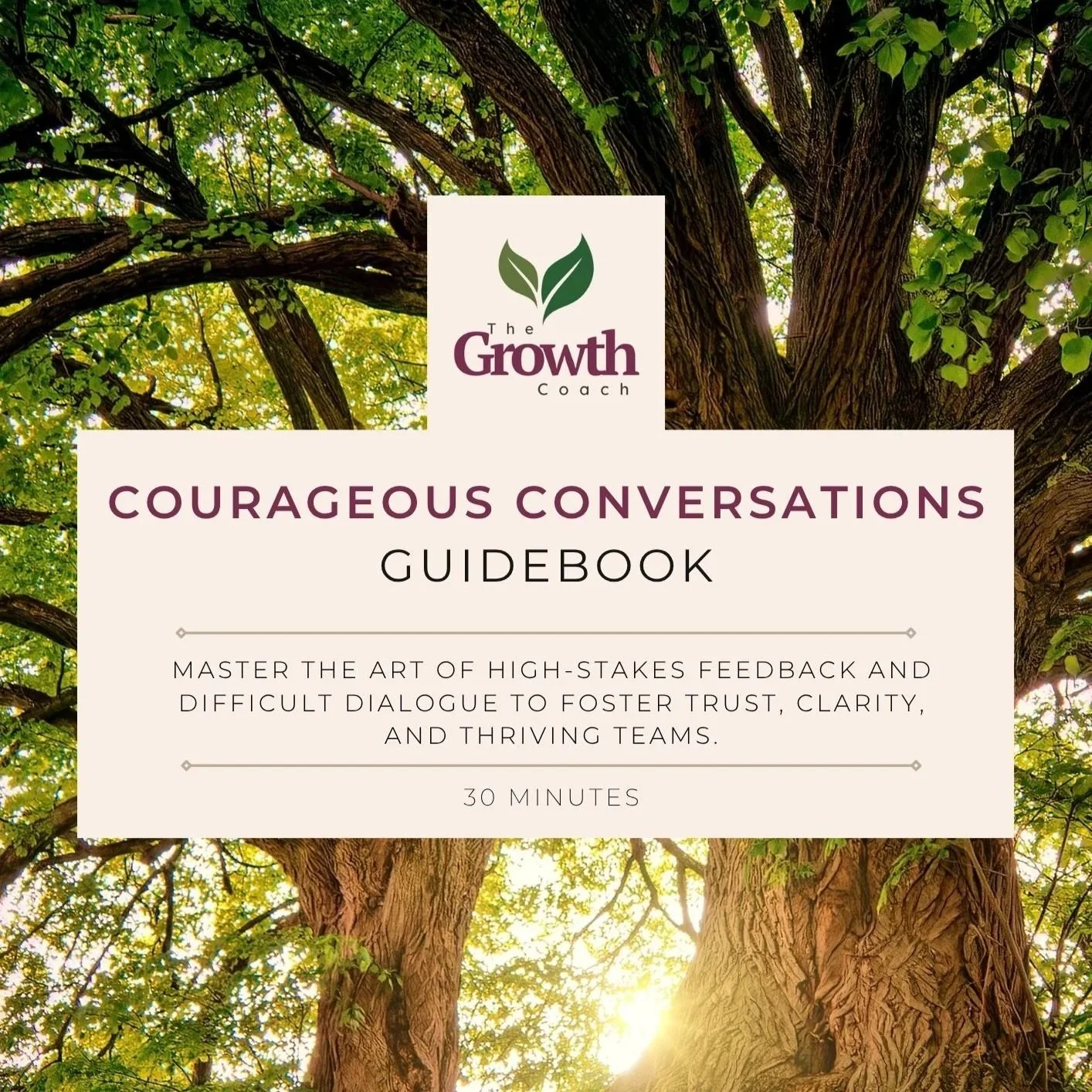 Courageous Conversations Guidebook