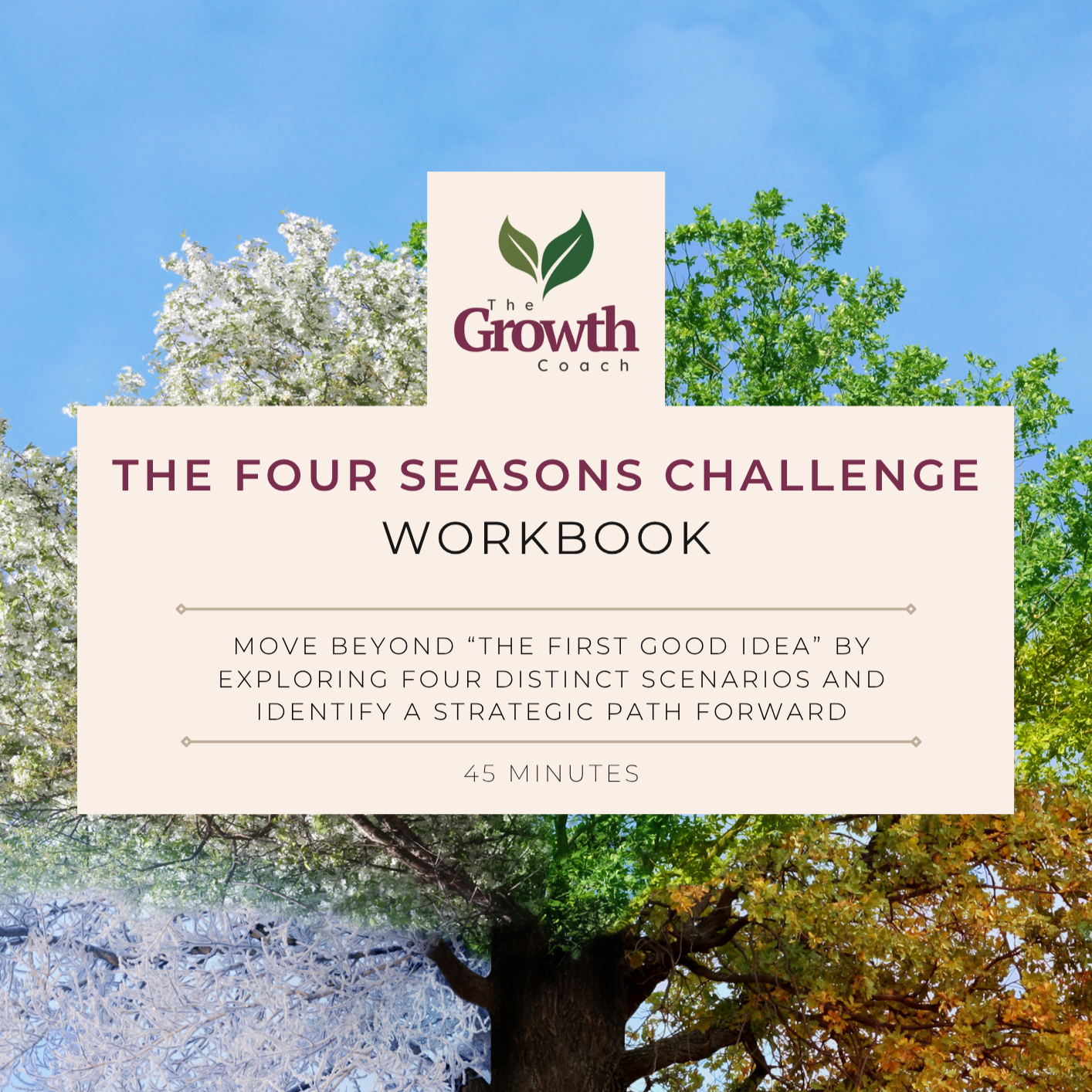 The Four Seasons Challenge | Strategic Decision Tool