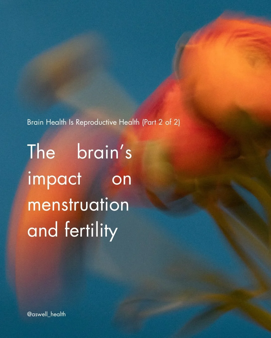 Your menstrual cycle and your stress response are coordinated by the same part of your brain. 

That changes a lot about how to think about menstrual health and potential fertility difficulties. 

When cortisol is chronically elevated, it can disrupt